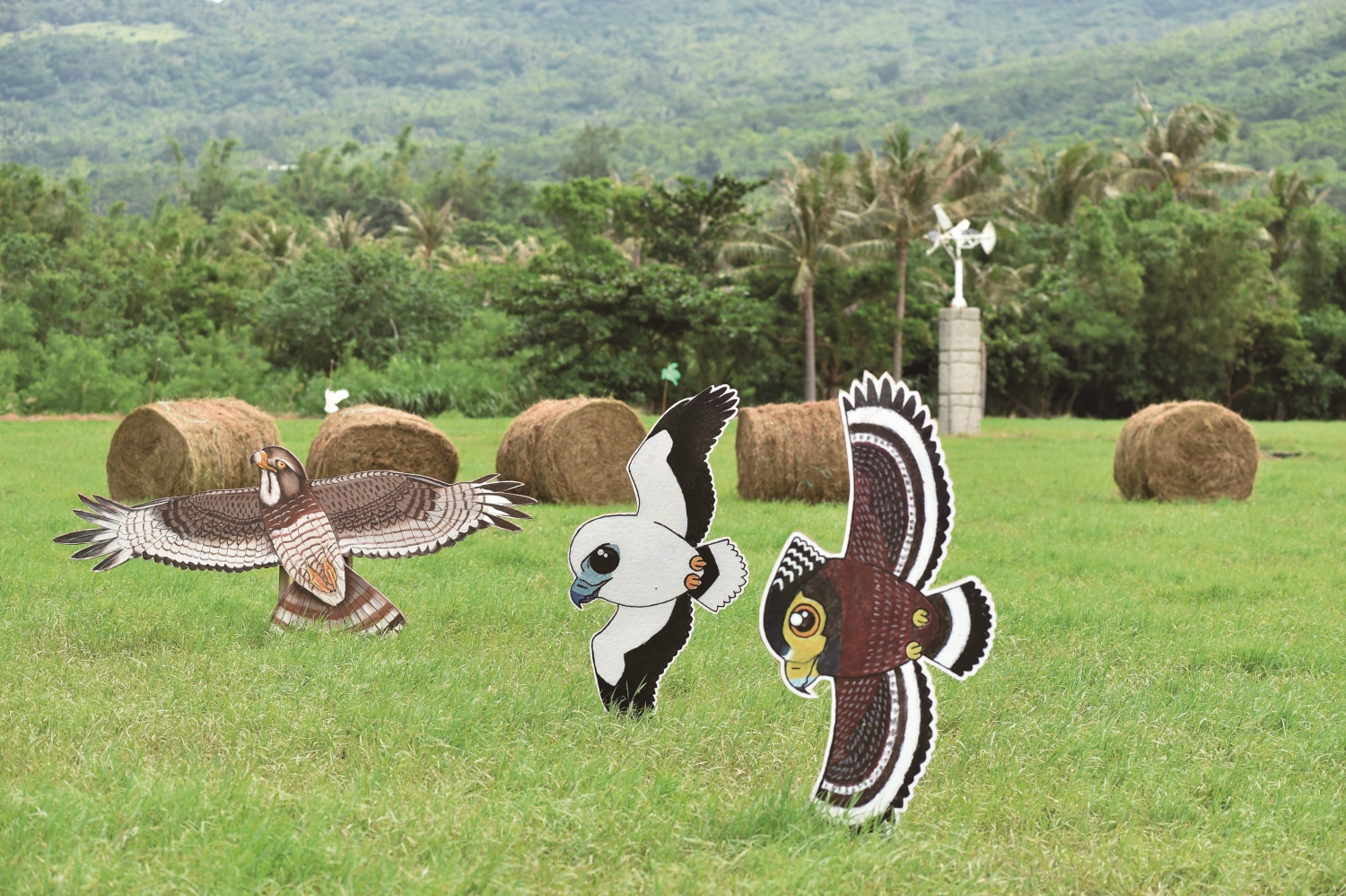 屏東野鳥學會協助琅嶠鷹季佈置活動會場／墾管處 提供