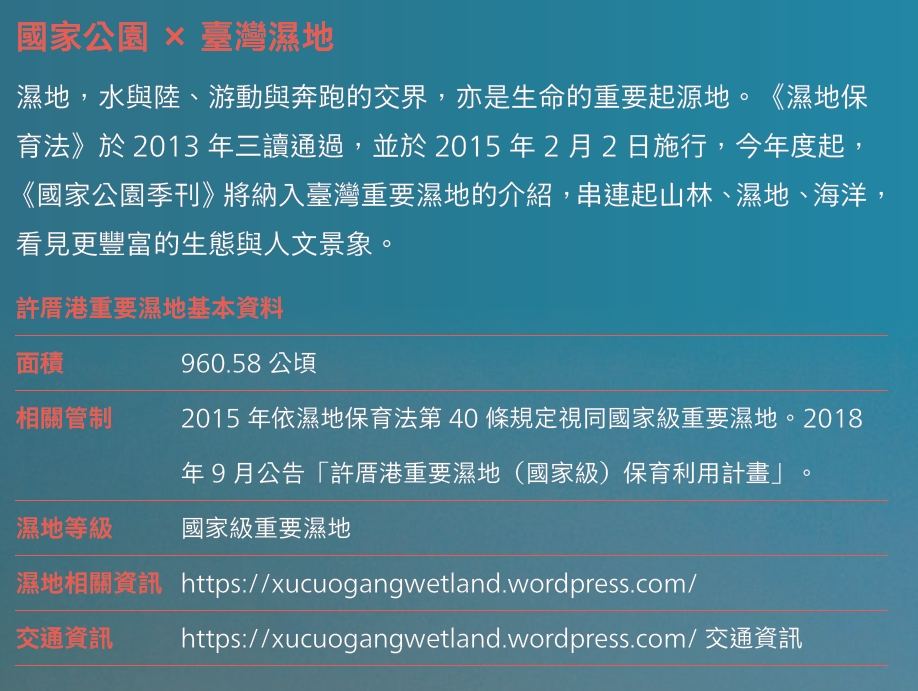 許厝港濕地基本資料