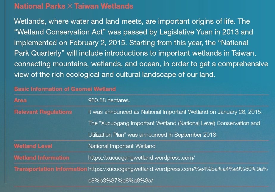 Basic Information of Gaomei Wetland