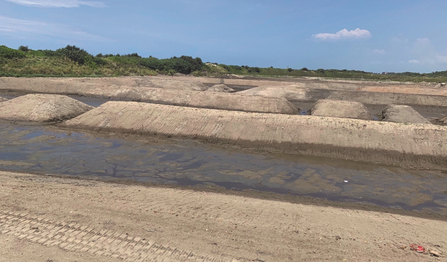 2.設置生態陸島，減少人類活動對水鳥的干擾