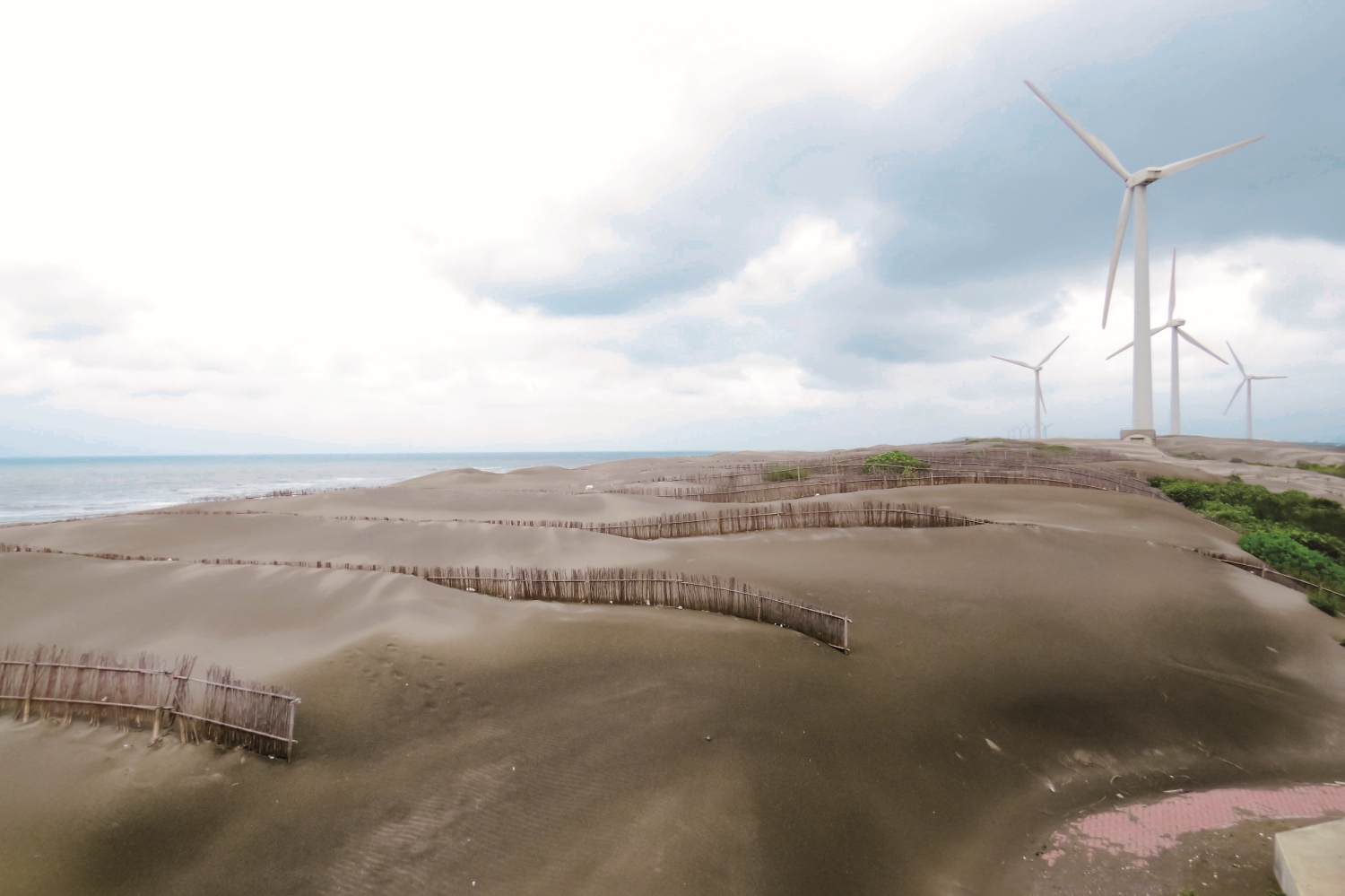 草漯沙丘／蔡木寬 攝