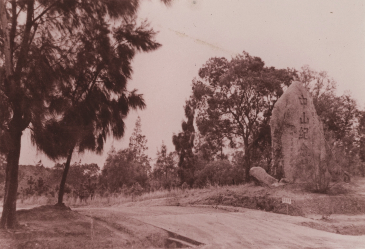 中山紀念林甫完成時的紀錄照片，可以看到樹木尚待時間給予成長空間／金管處 提供