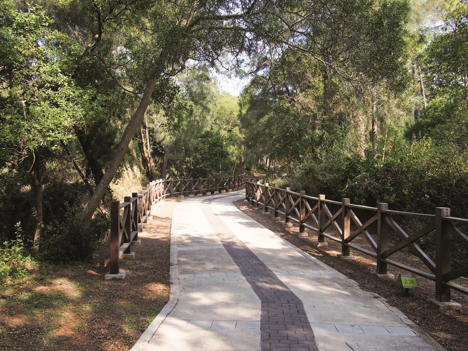 中山紀念林蔥鬱林蔭展現多年綠化成果／ rheins 提供(來源：https://zh.wikivoyage.org/zh/File: 中山林自行道_-_Zhongshan_Forest_Park_
Bikeway_-_2015.01_-_panoramio.jpg)