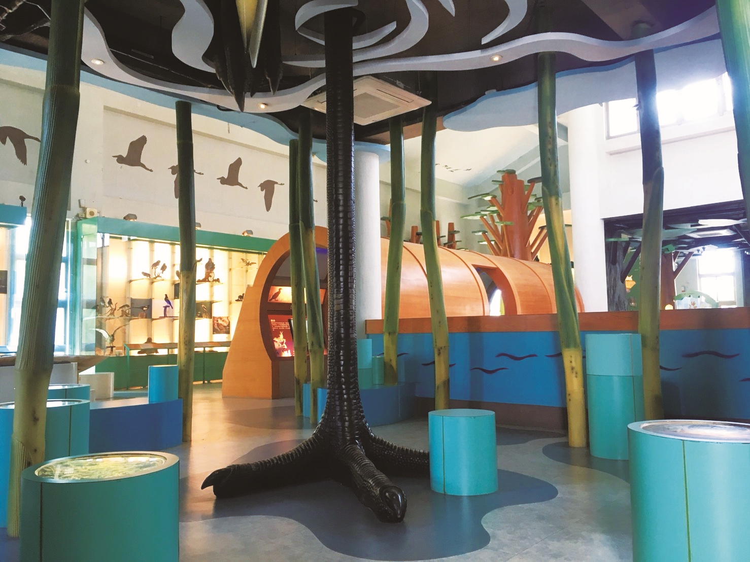 乳山遊客中心裡特別規劃的「水下世界」，讓遊客從新鮮的角度瞭解當地生態特色／金管處 提供