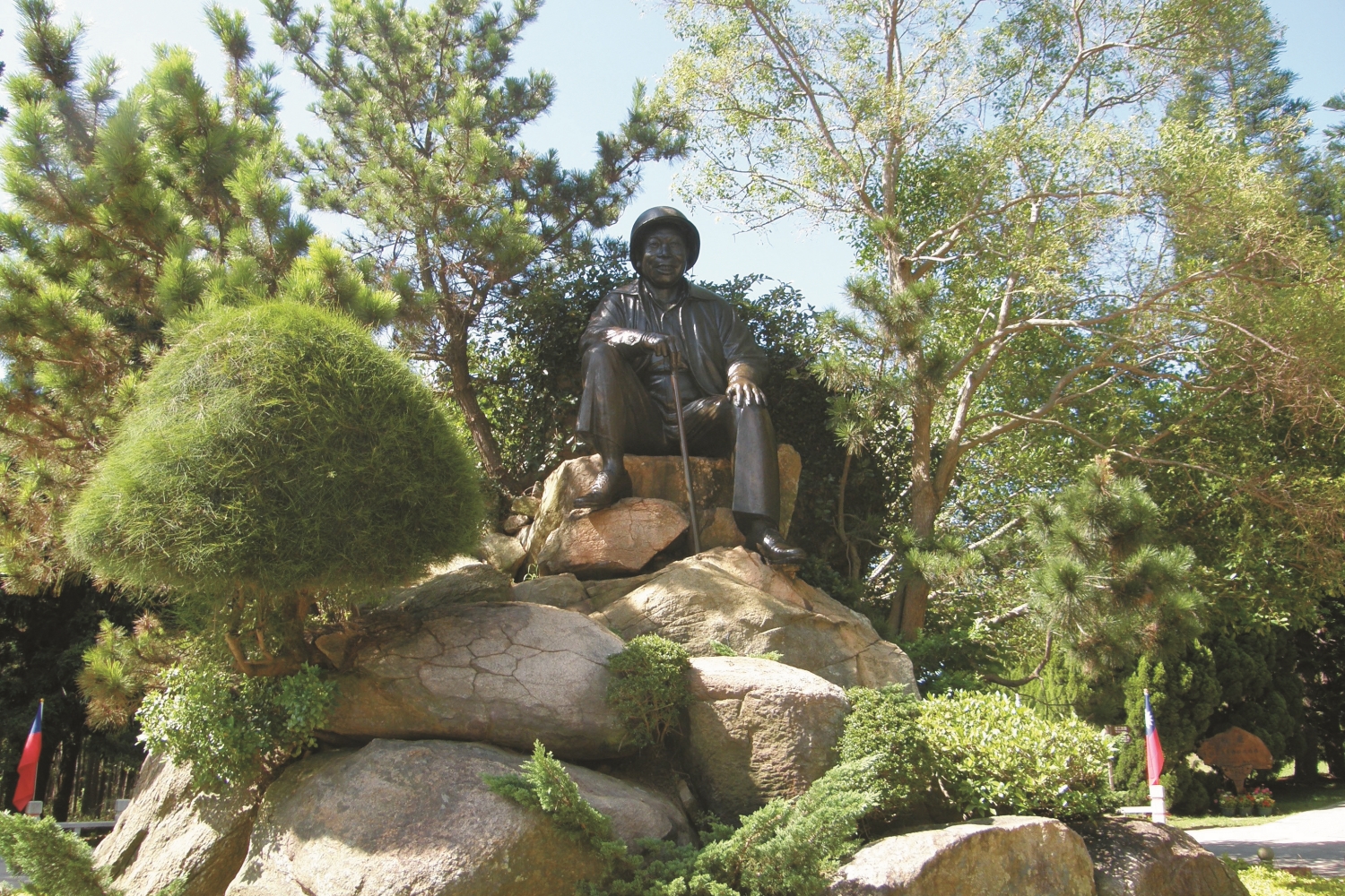 蔣經國親手種植的龍柏／金門部落 提供