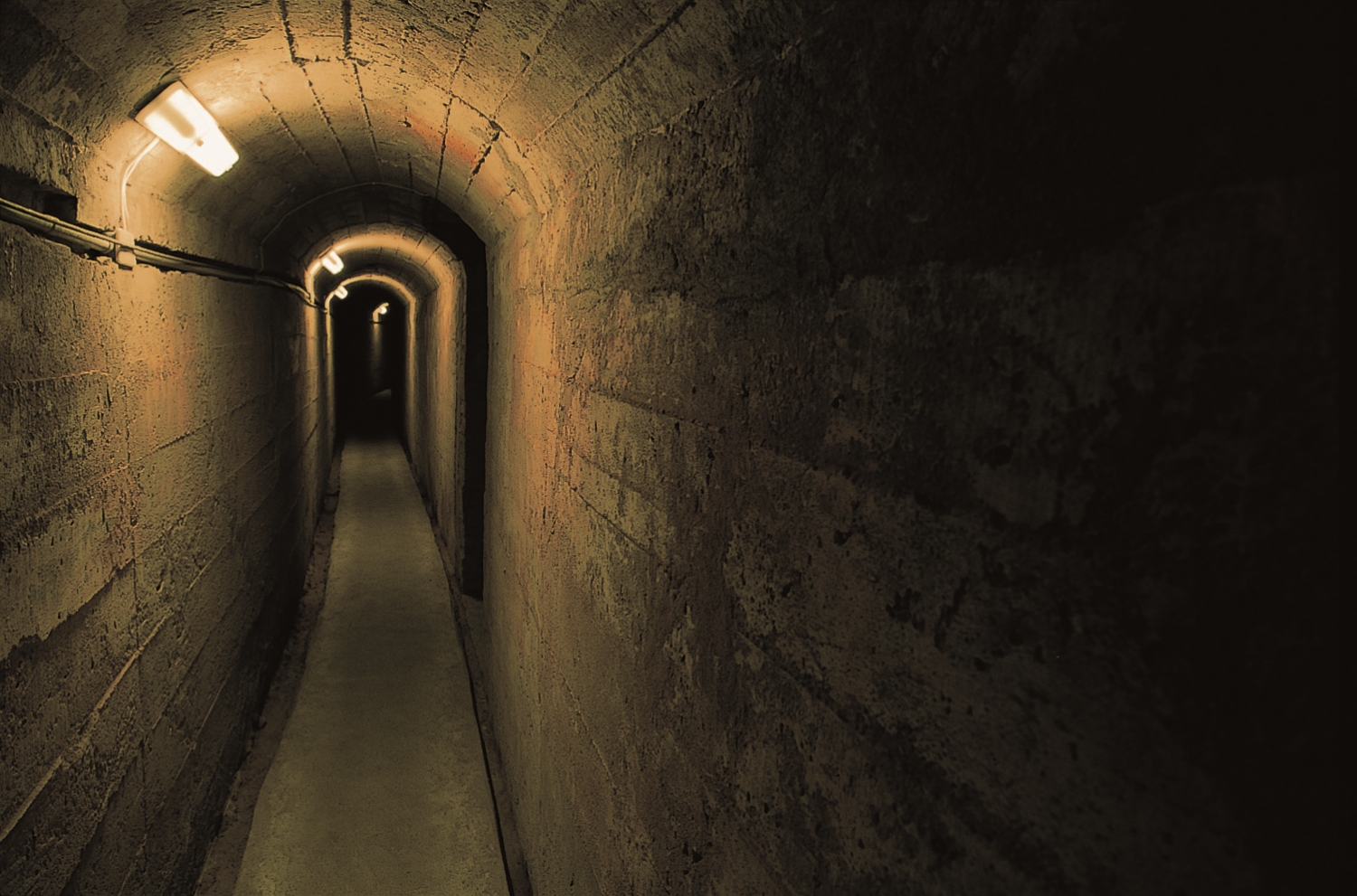 瓊林坑道／金管處 提供