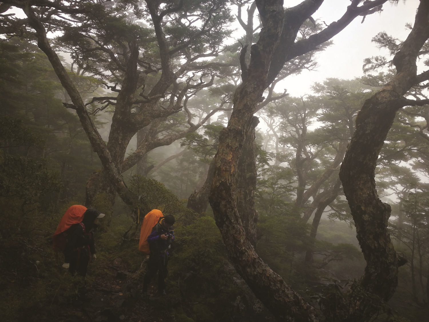 山中環境多變，未做好萬全準備絕不可貿然入山／雪管處 提供（傅國銘 攝）