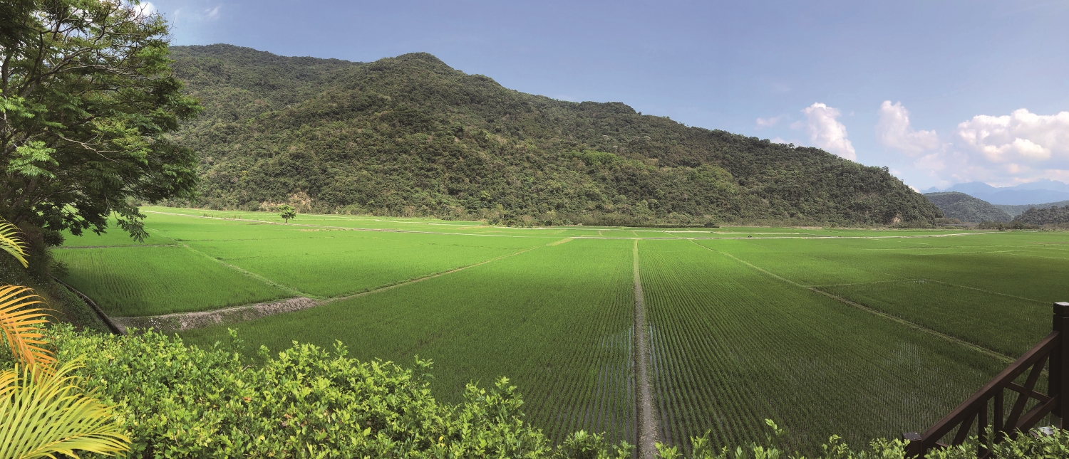 玉山腳下的南安部落，嘗試以友善農法喚回大地春天／蘇士雅 攝