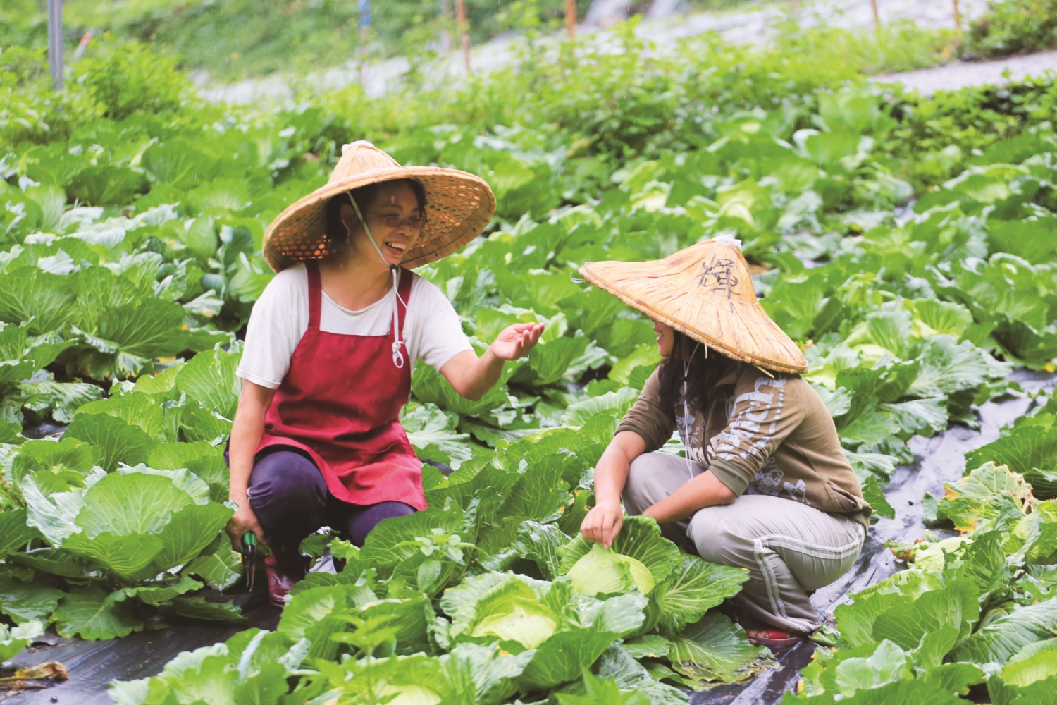 試著與動物、環境共生，聚落居民選擇以友善農業照顧自己和土地／慈心有機農業發展基金會 提供（呂艷芳 攝）
