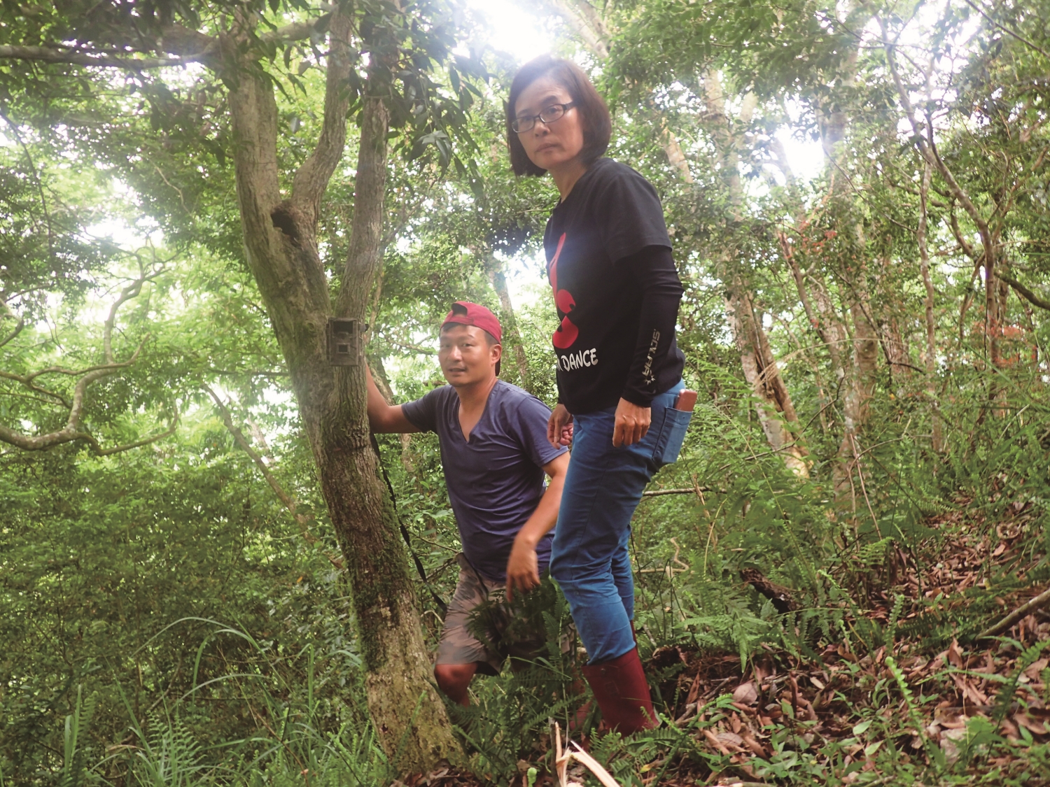 架設自動相機，捕捉動物身影／ 慈心有機農業發展基金會 提供