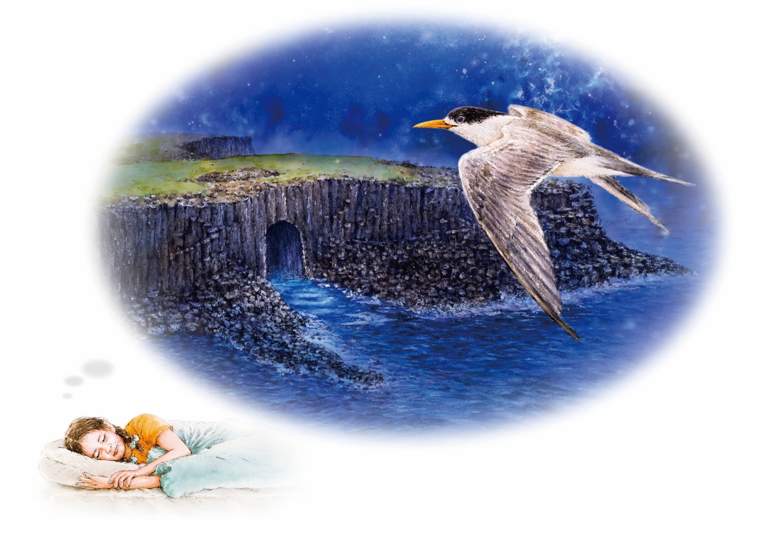 《阿清與小蘭的海角樂園》繪本-海邊夜景