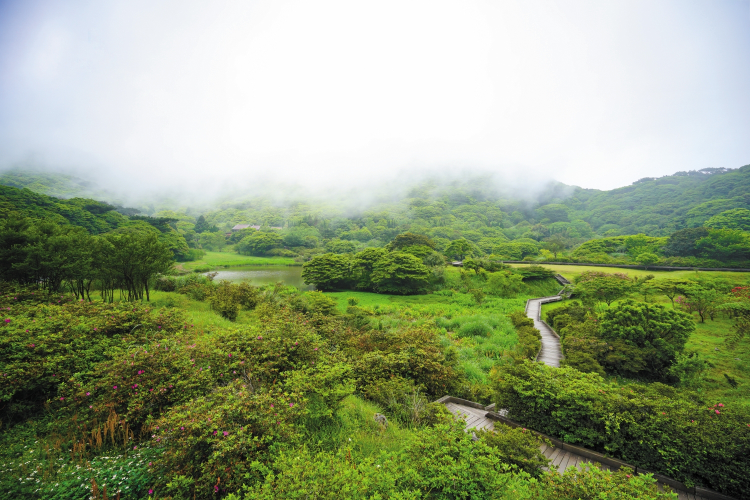 當世界動得越快，我們更要找到靜心聆聽世界的方式／楊懷智 攝