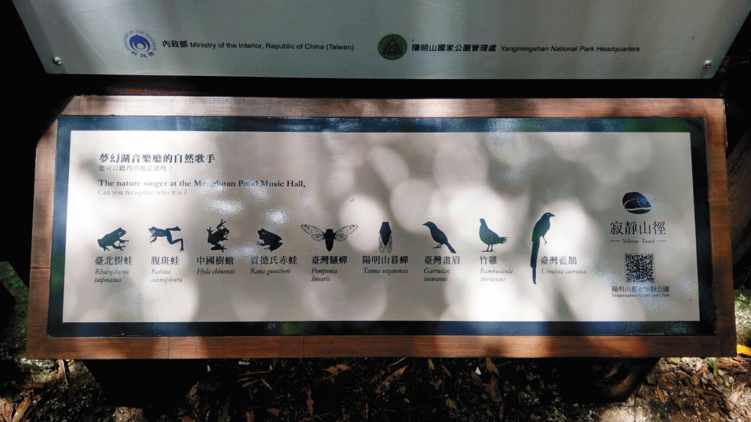 遊客可透過告示牌認識豐富聲景的來源／姚贊薪 攝