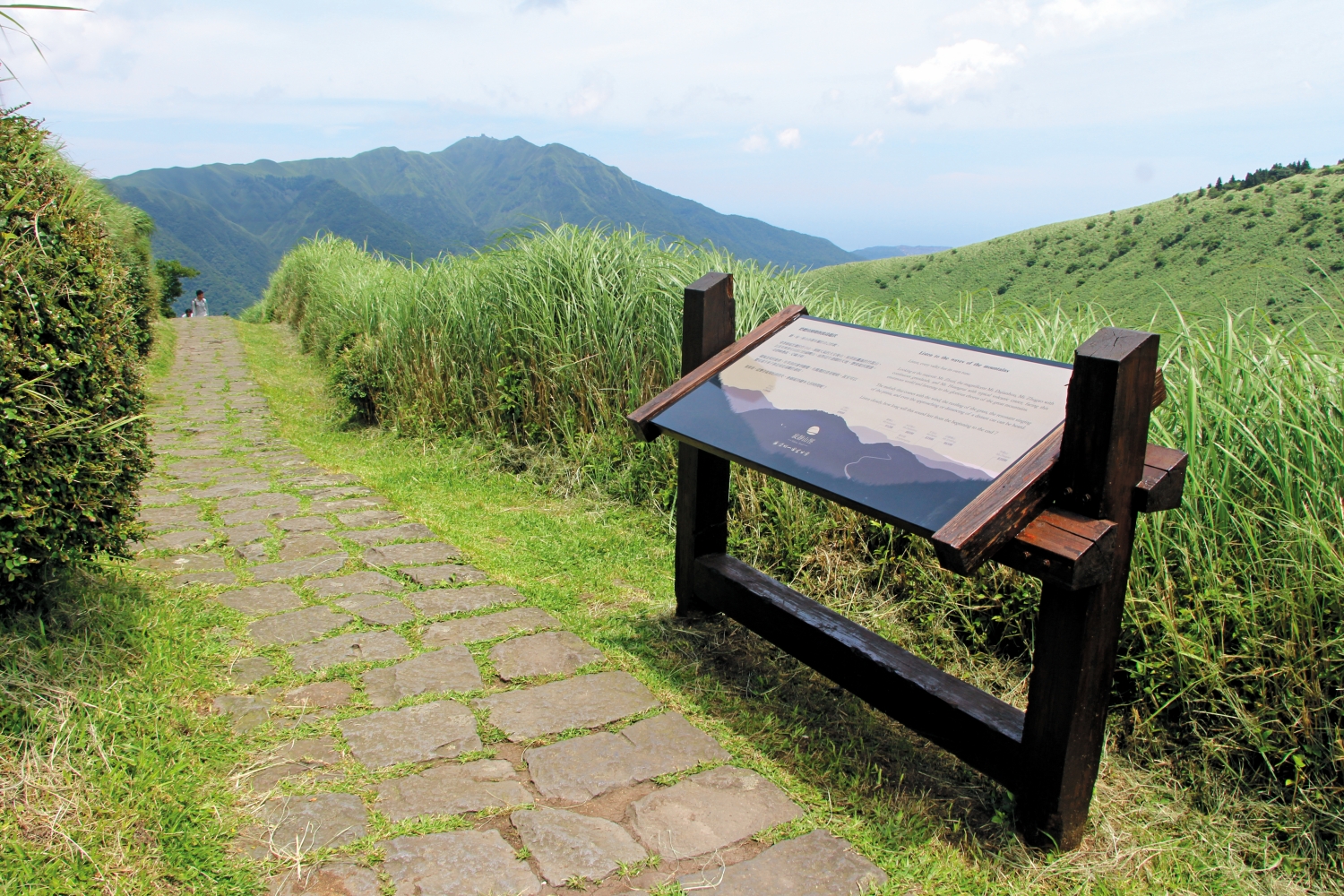 為符合都會寧靜公園之認證要求,夢幻湖步道寂靜山徑之告示牌從造型到內容都進行一番改造/楊越涵 攝