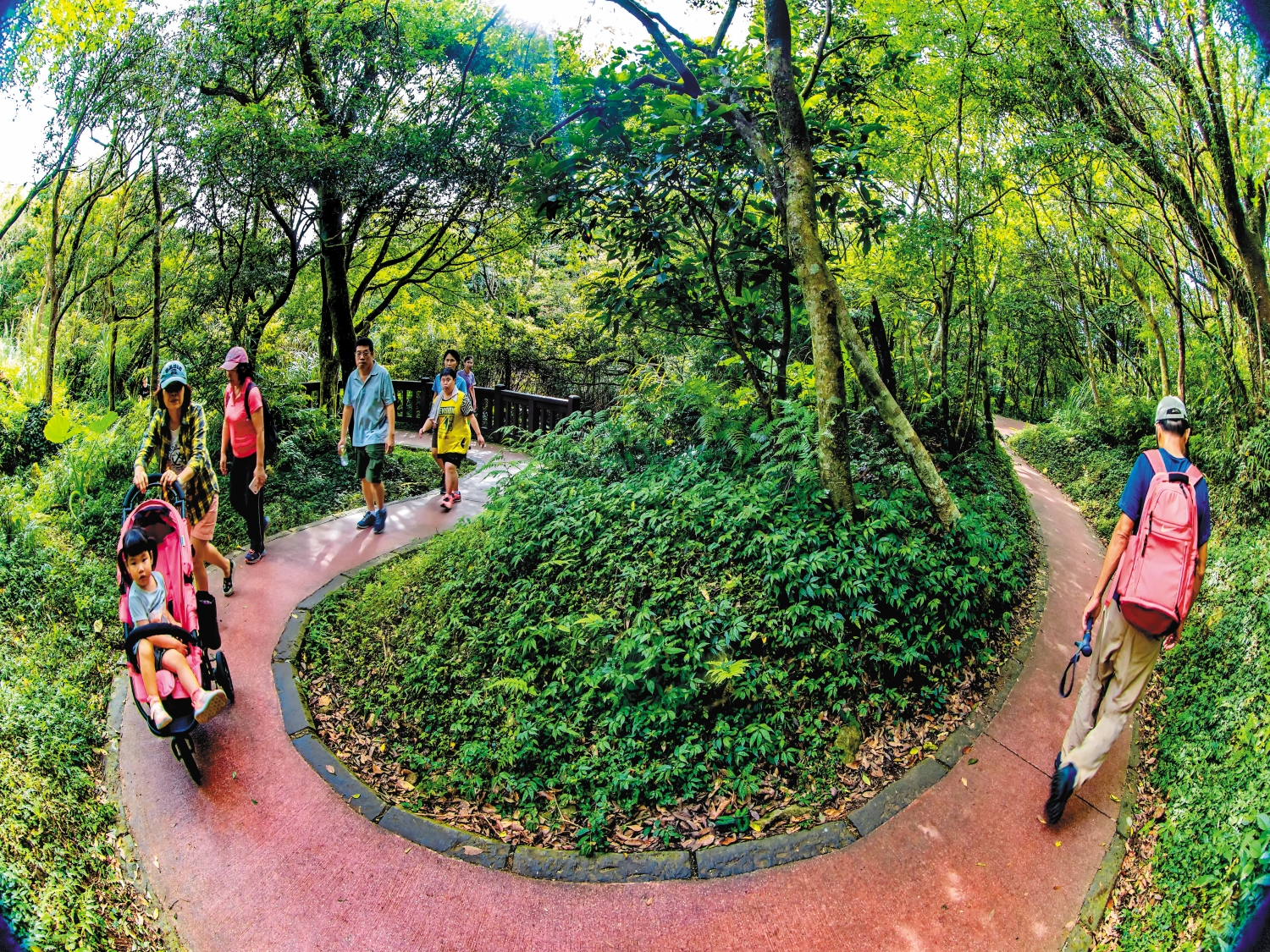 無論年齡、身體狀況，人們都期待拜訪國家公園／周文章 攝