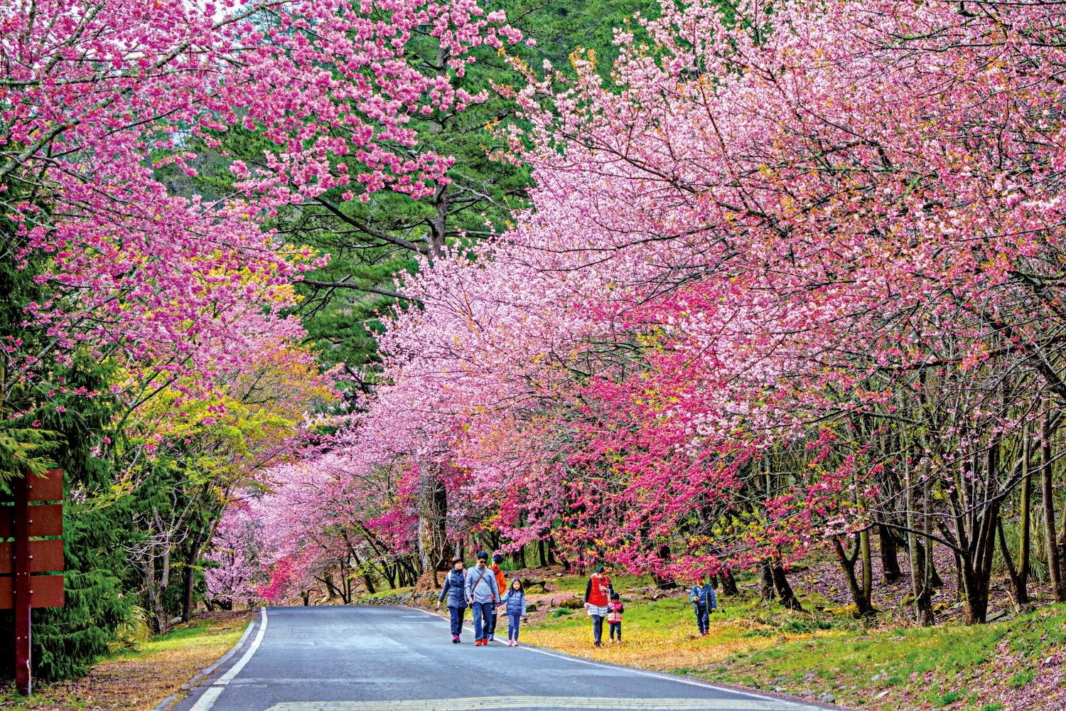打造不分年齡、需求的遊客皆能暢遊的環境，是國家公園的重要目標之一／周文章 攝