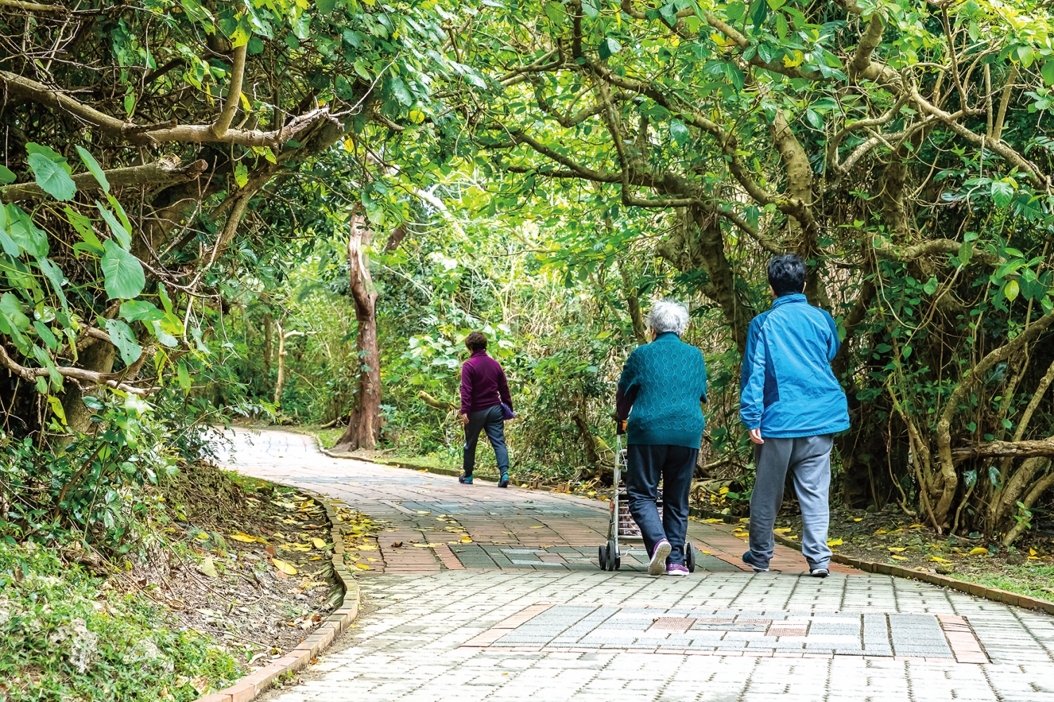 舒適平整的無障礙步道對輪椅使用者及嬰兒車是一大福音／林茂耀 攝