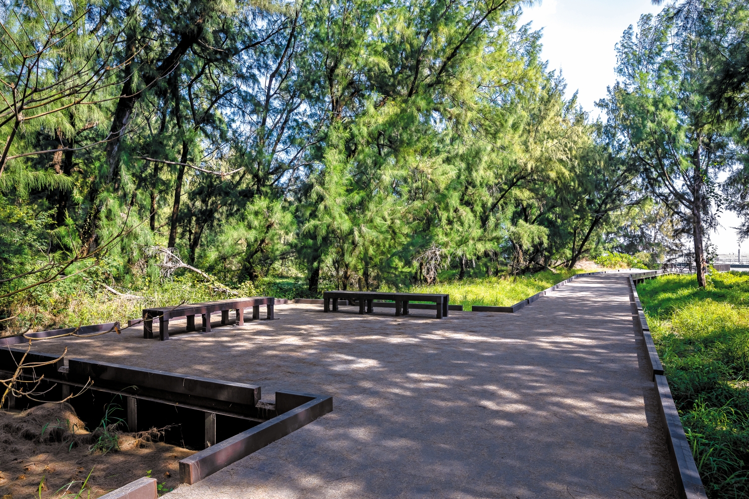 設立於沙洲上的網仔寮汕步道遭受環境極大考驗／內政部營建 提供