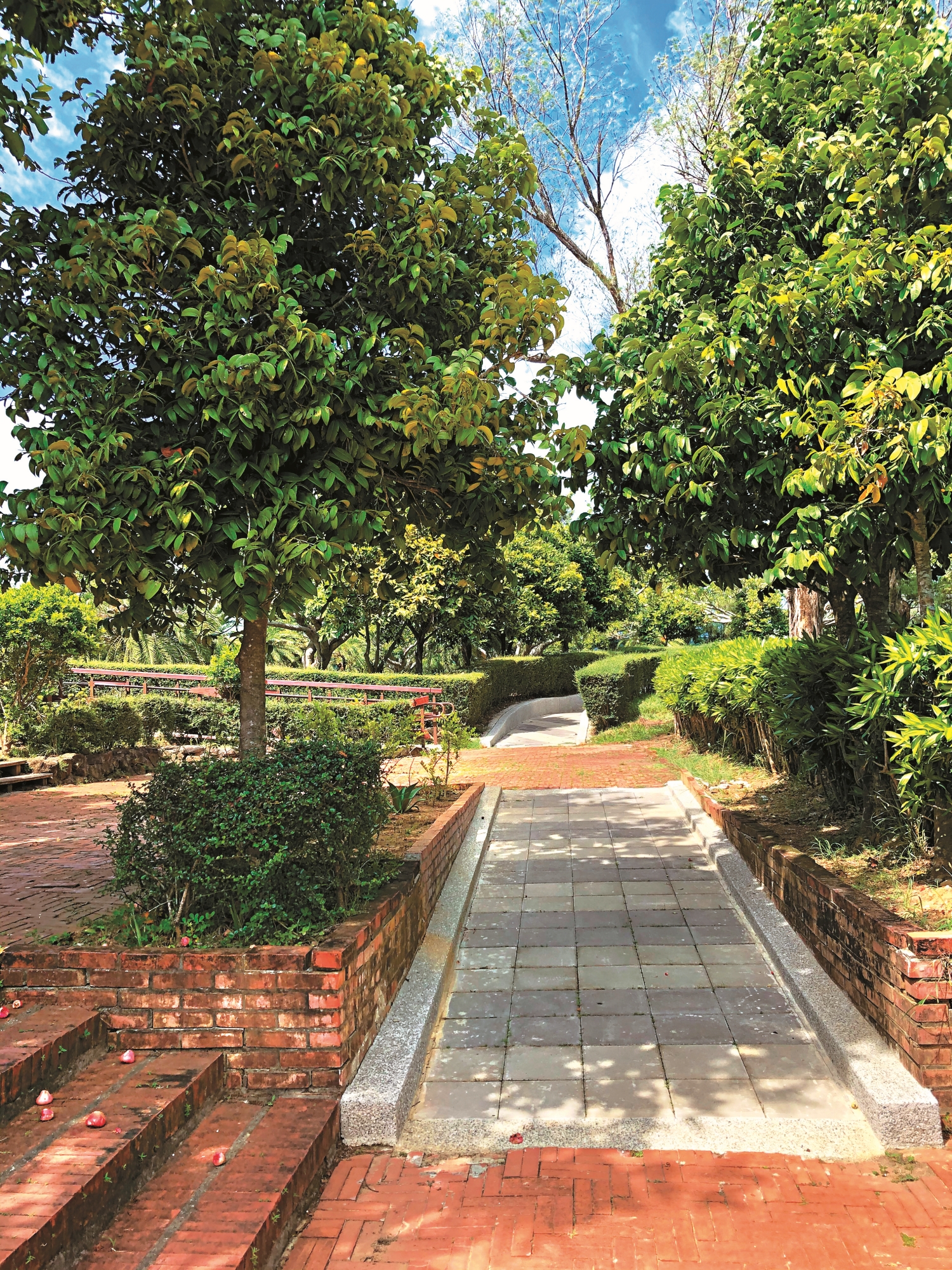 瓊麻工業歷史展示區無障礙動線規劃，共三張照片／墾管處 提供