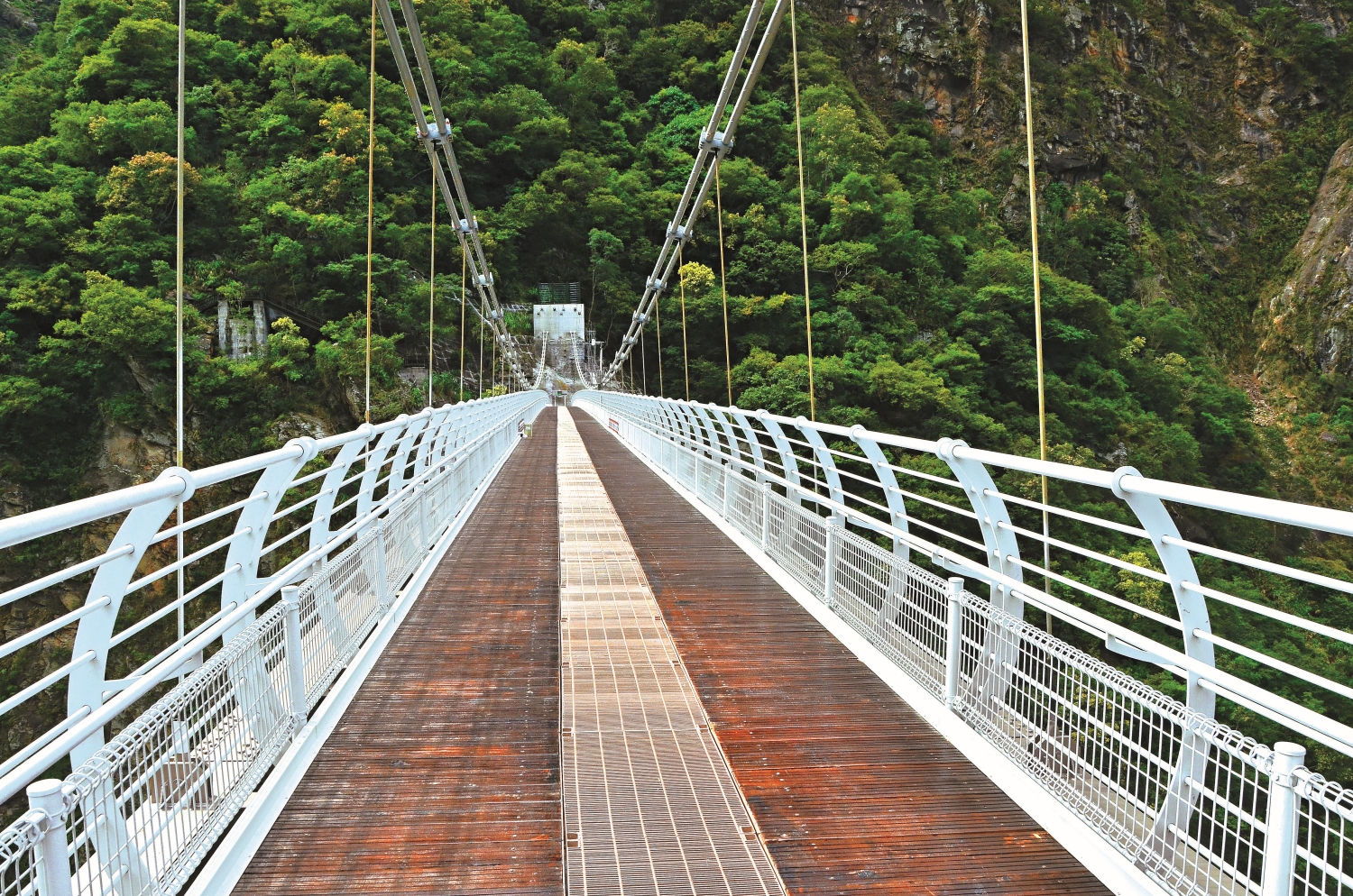 全新開放的山月吊橋成為太魯閣國家公園無障礙新亮點／林茂耀 攝