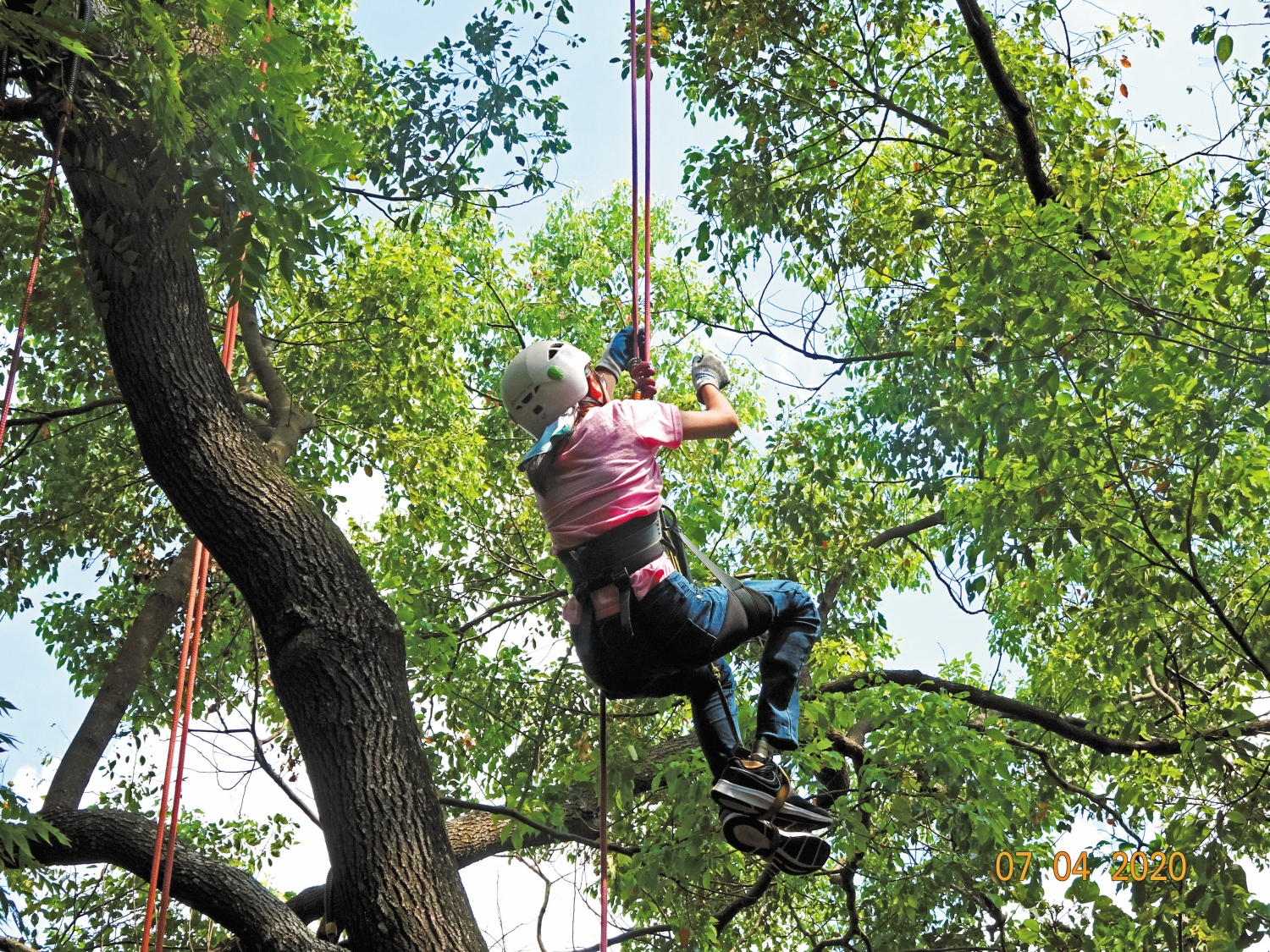 身障學員參與攀樹活動／雪管處 提供