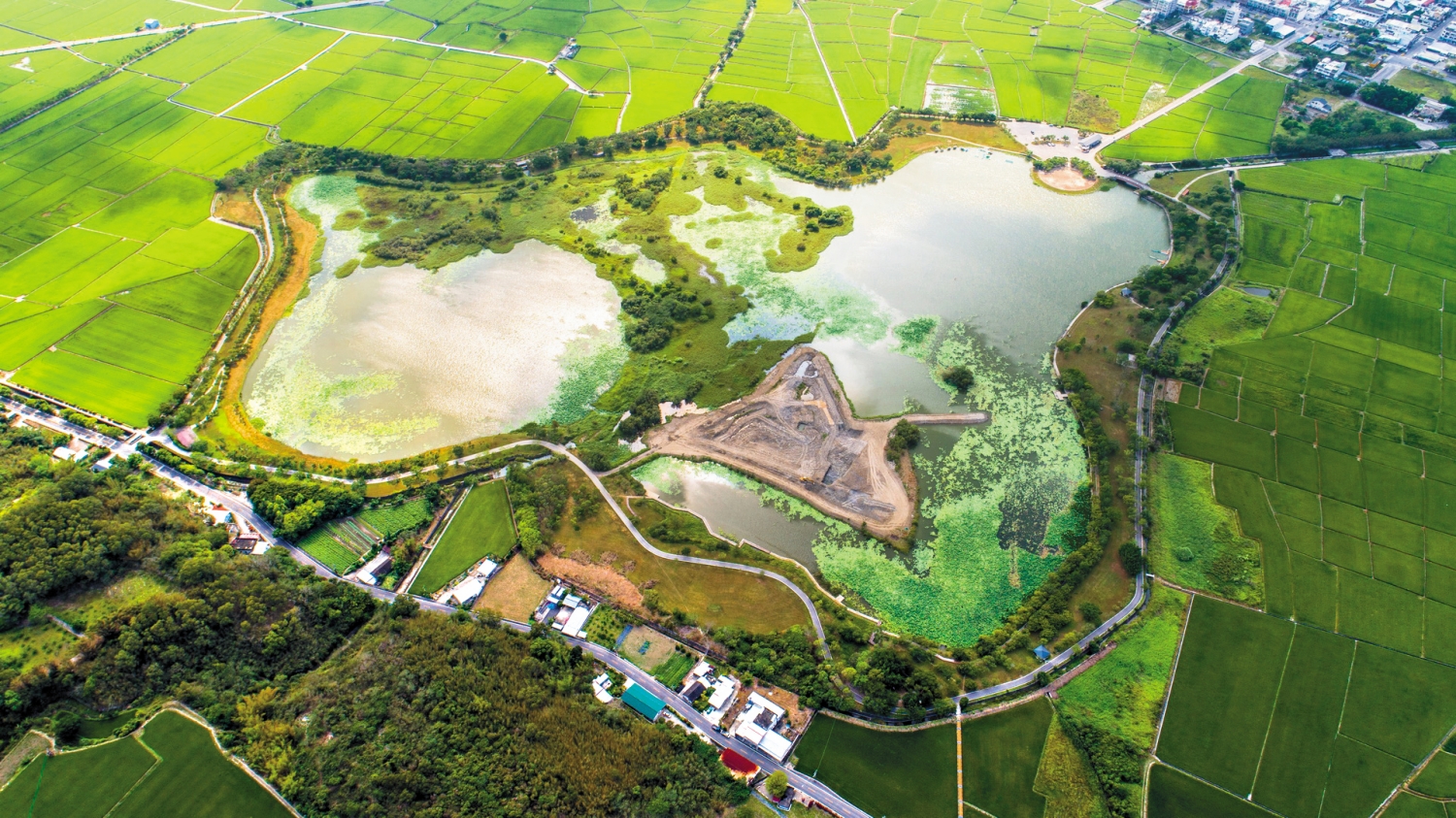 大坡池是花東縱谷重要的天然內陸濕地／縱管處 提供