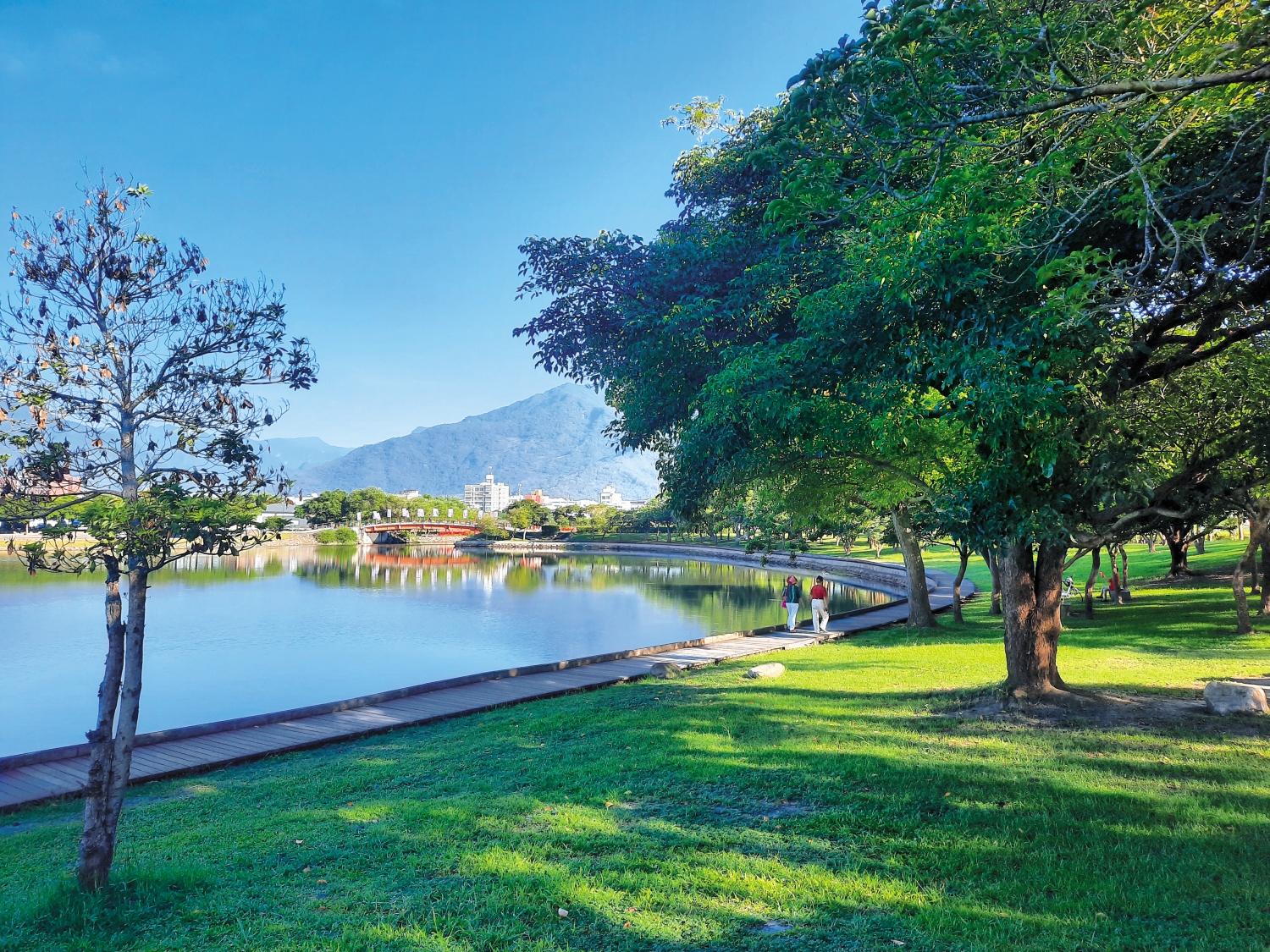 實施減法設計後，大坡池成為鄰近居民最佳的休閒去處／王雅筠 攝