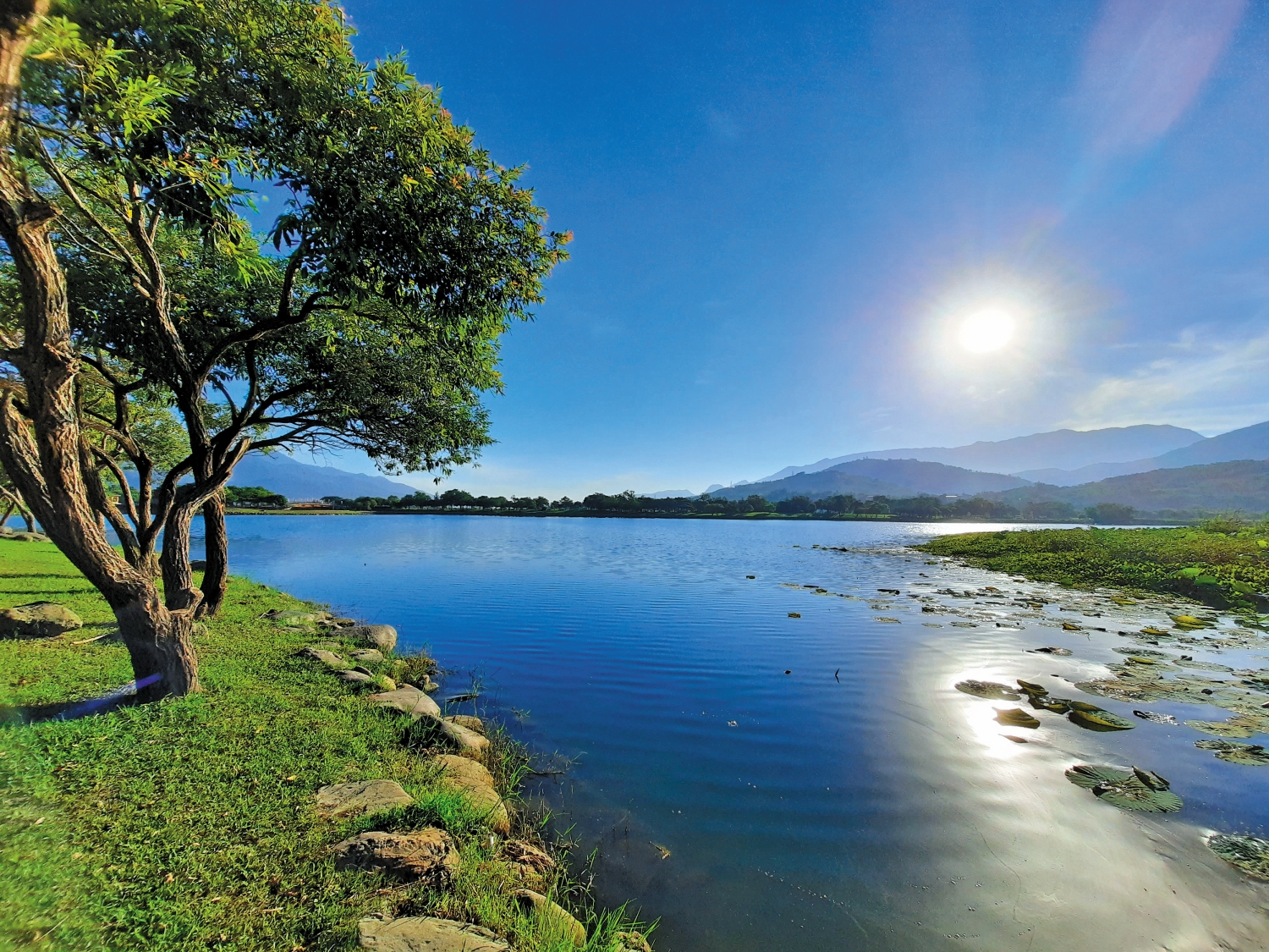 以生態工法恢復近自然池岸／王雅筠 攝