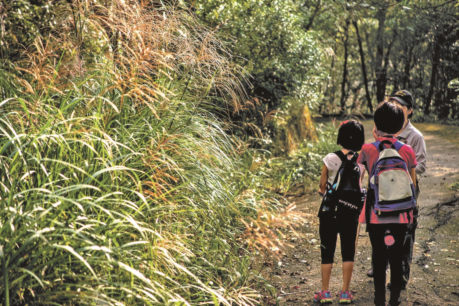 面對疫情漸成常態，要防止繼續情況惡化，國家公園的環境教育責任愈顯重大／楊懷智 攝