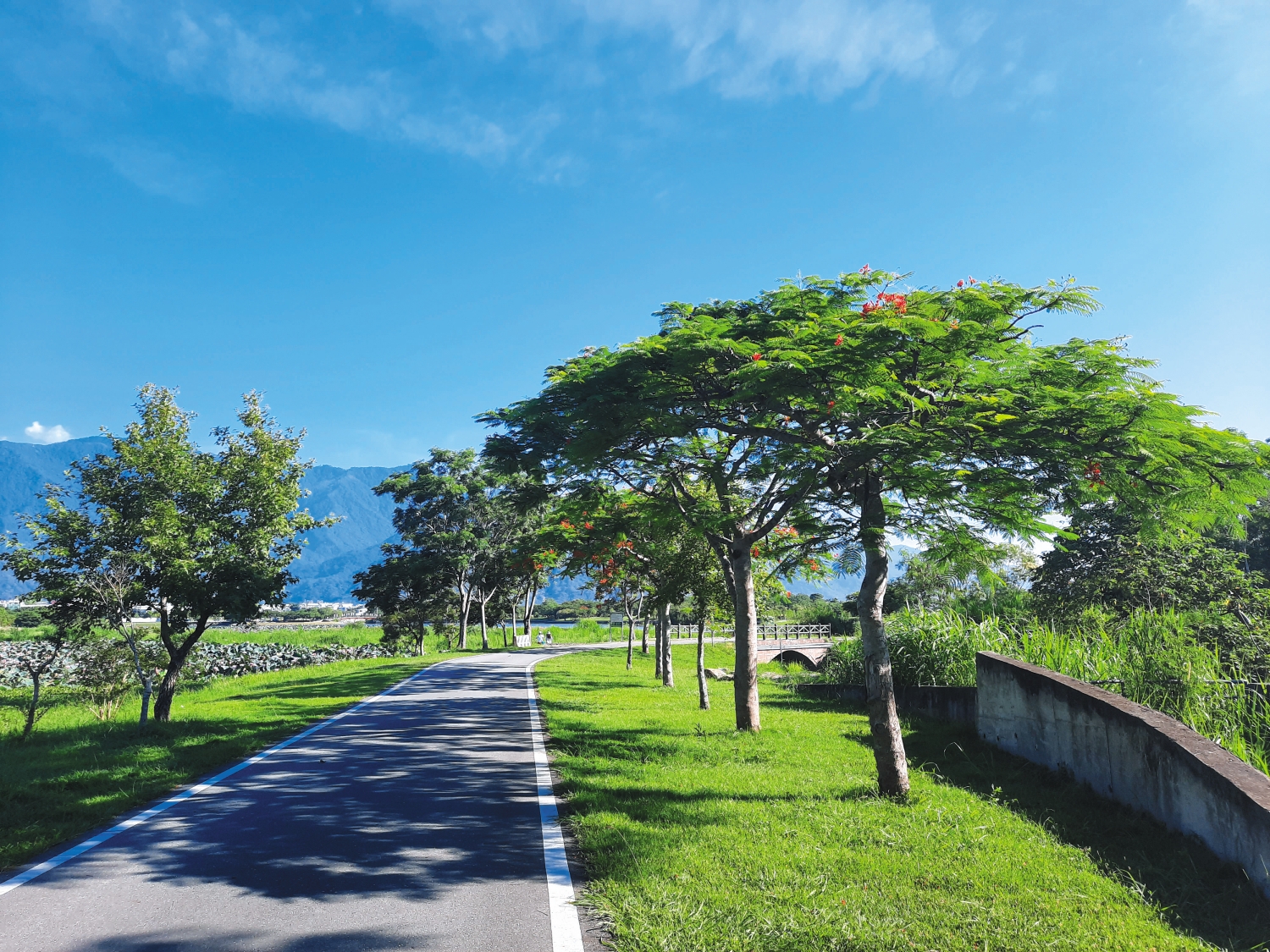 外環步道為柏油路面，平坦好行／王雅筠 攝