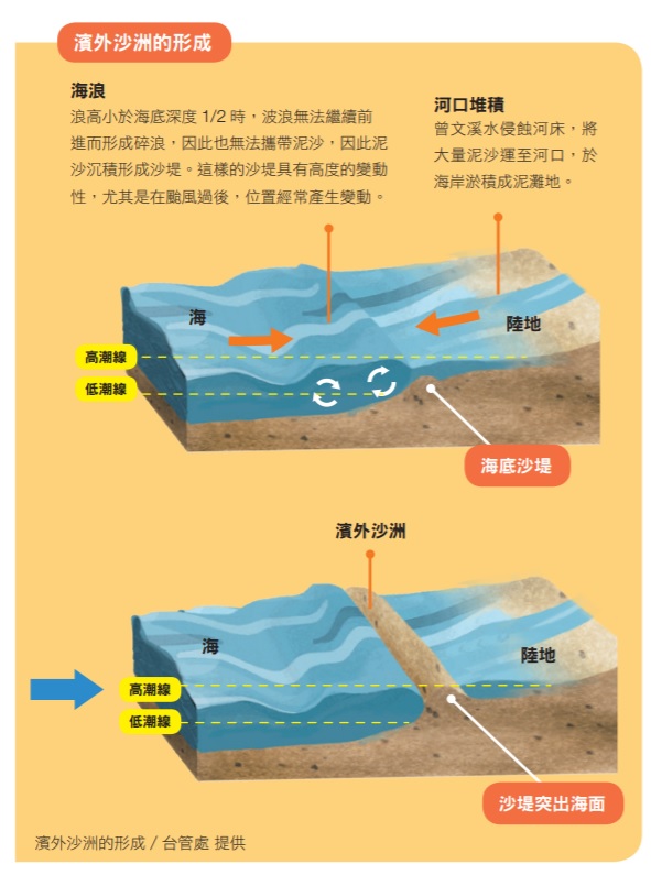 濱外沙洲的形成