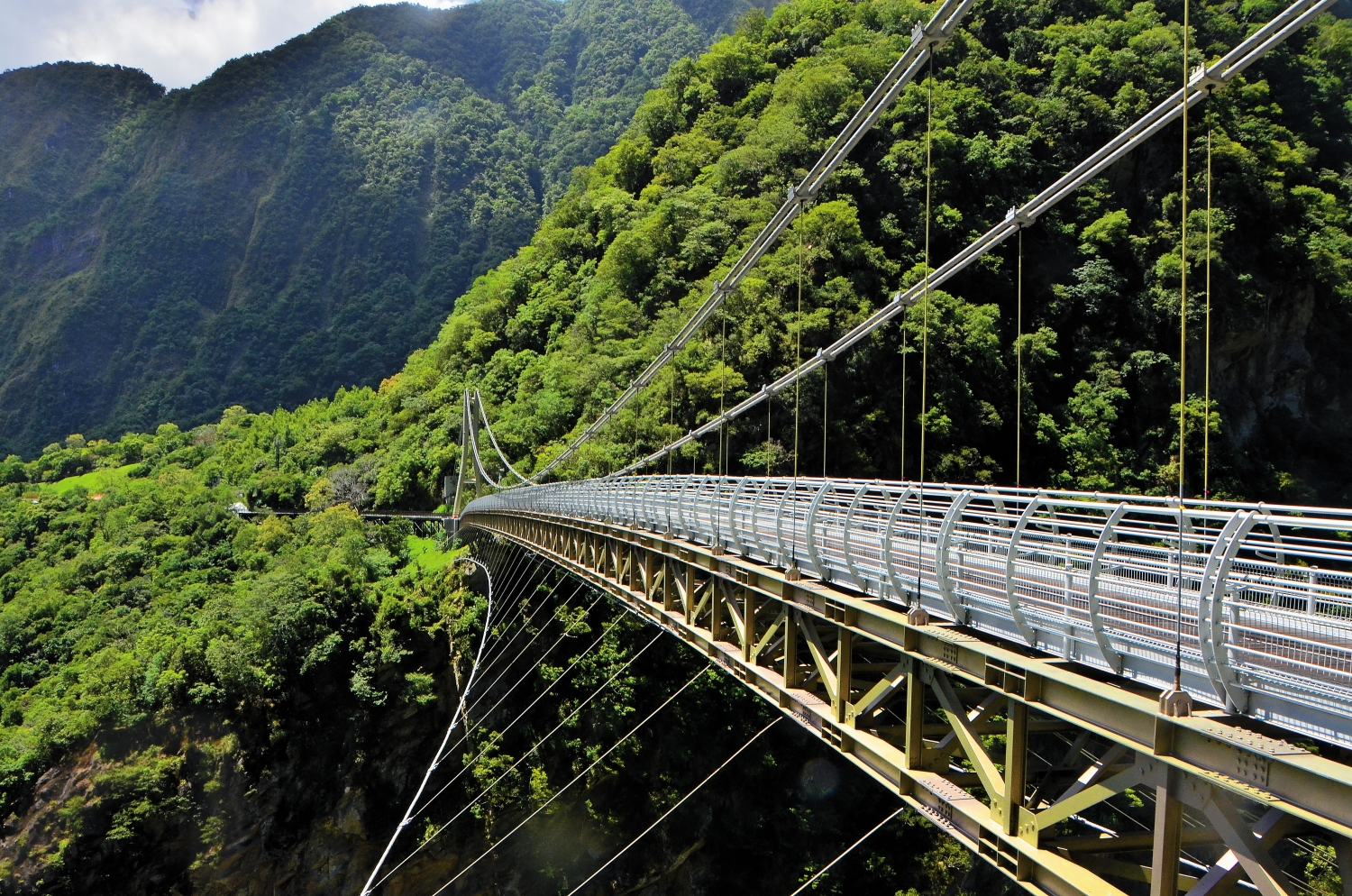 山月吊橋(林茂耀／攝)