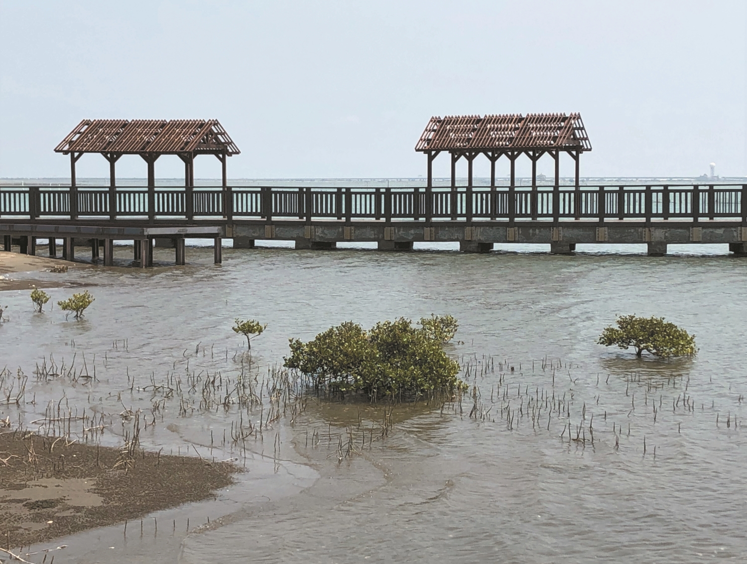 走在步道上,可近距離觀察到豐富多樣的潮間帶生態/台管處 提供