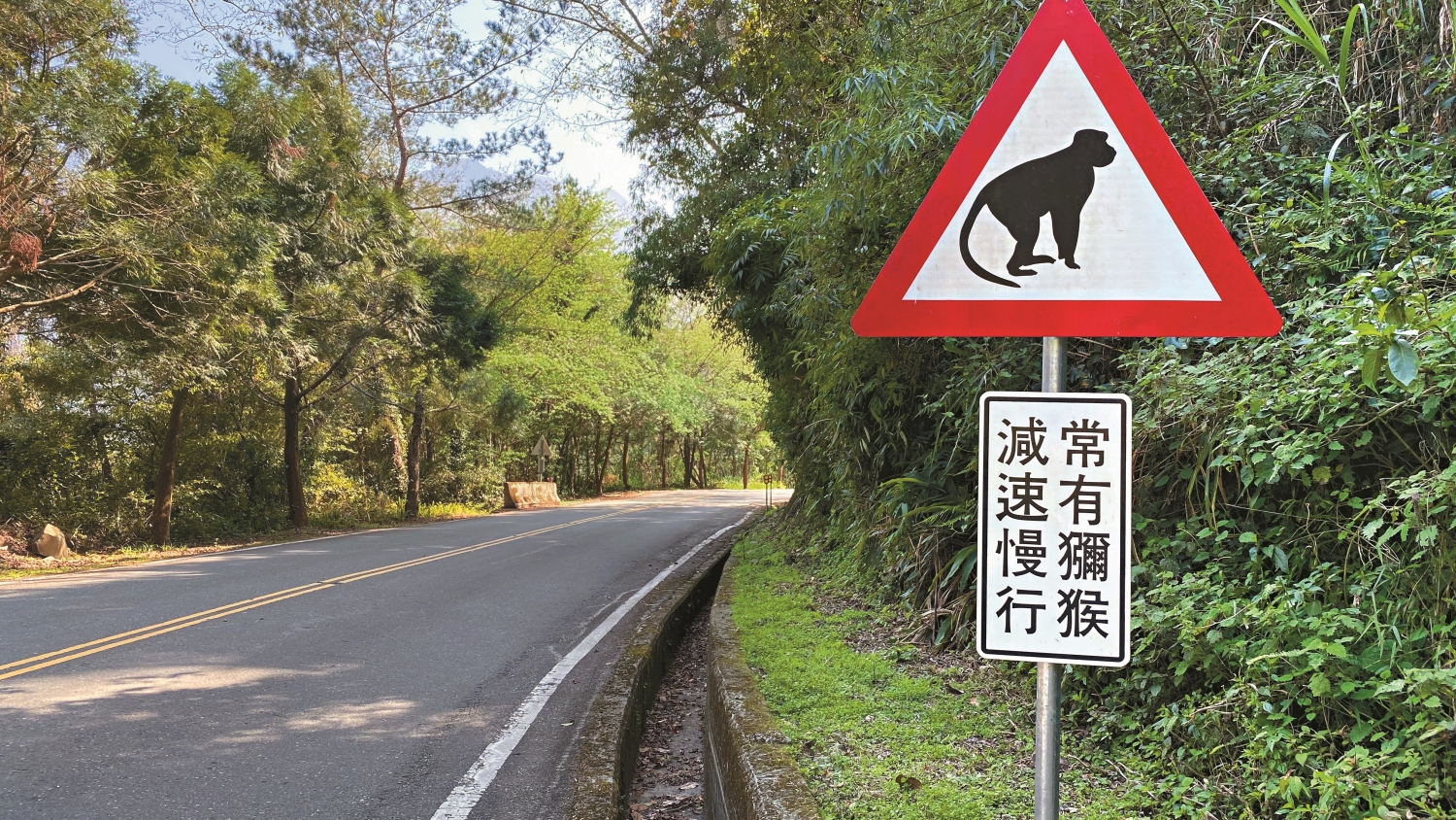 透過救傷、路死調查等資料收集,有效協助國家公園在事故熱點設立警告標誌,守護往來動物/林德恩 攝