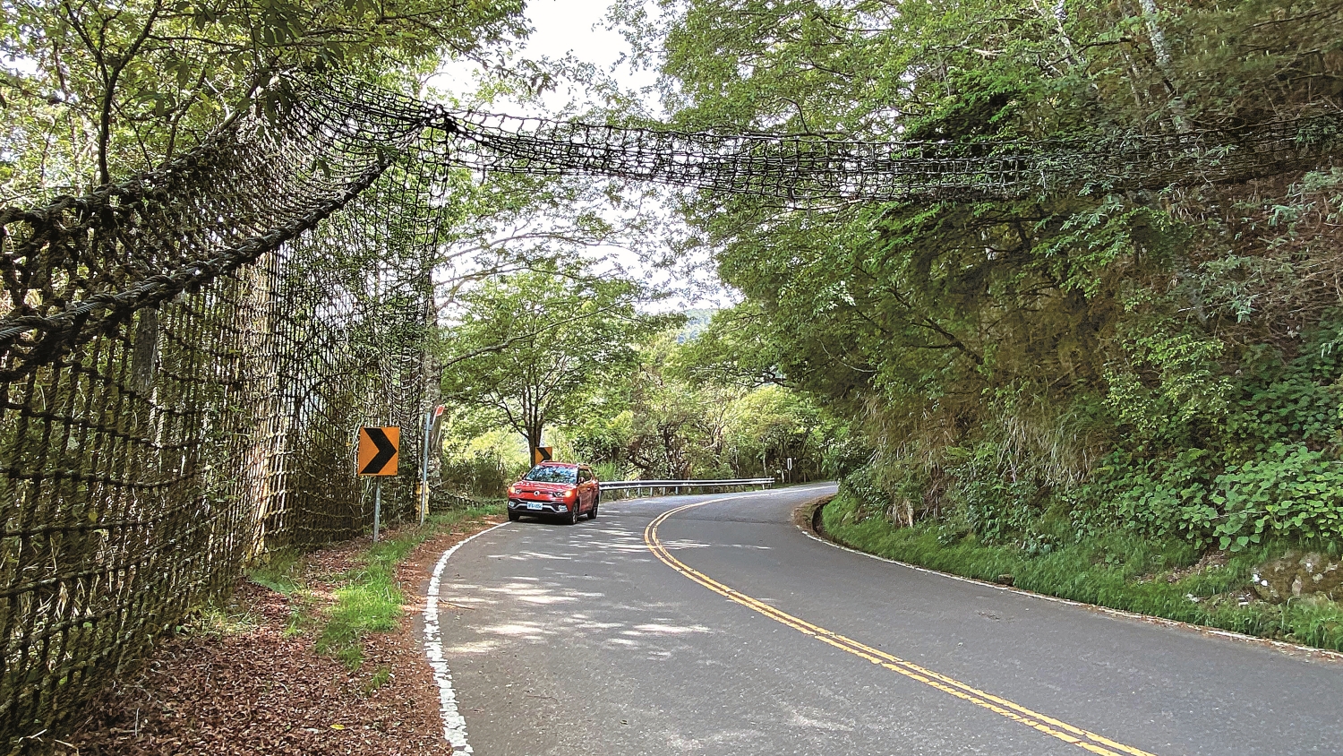 規劃動物廊道減少人與動物的衝突/林德恩 攝