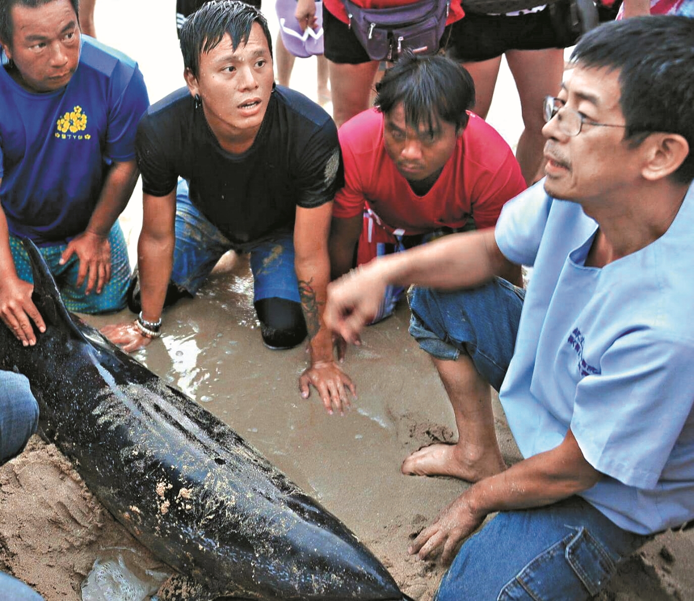 遭遇鯨豚擱淺,向當地民眾進行機會教育/錢興華 提供
