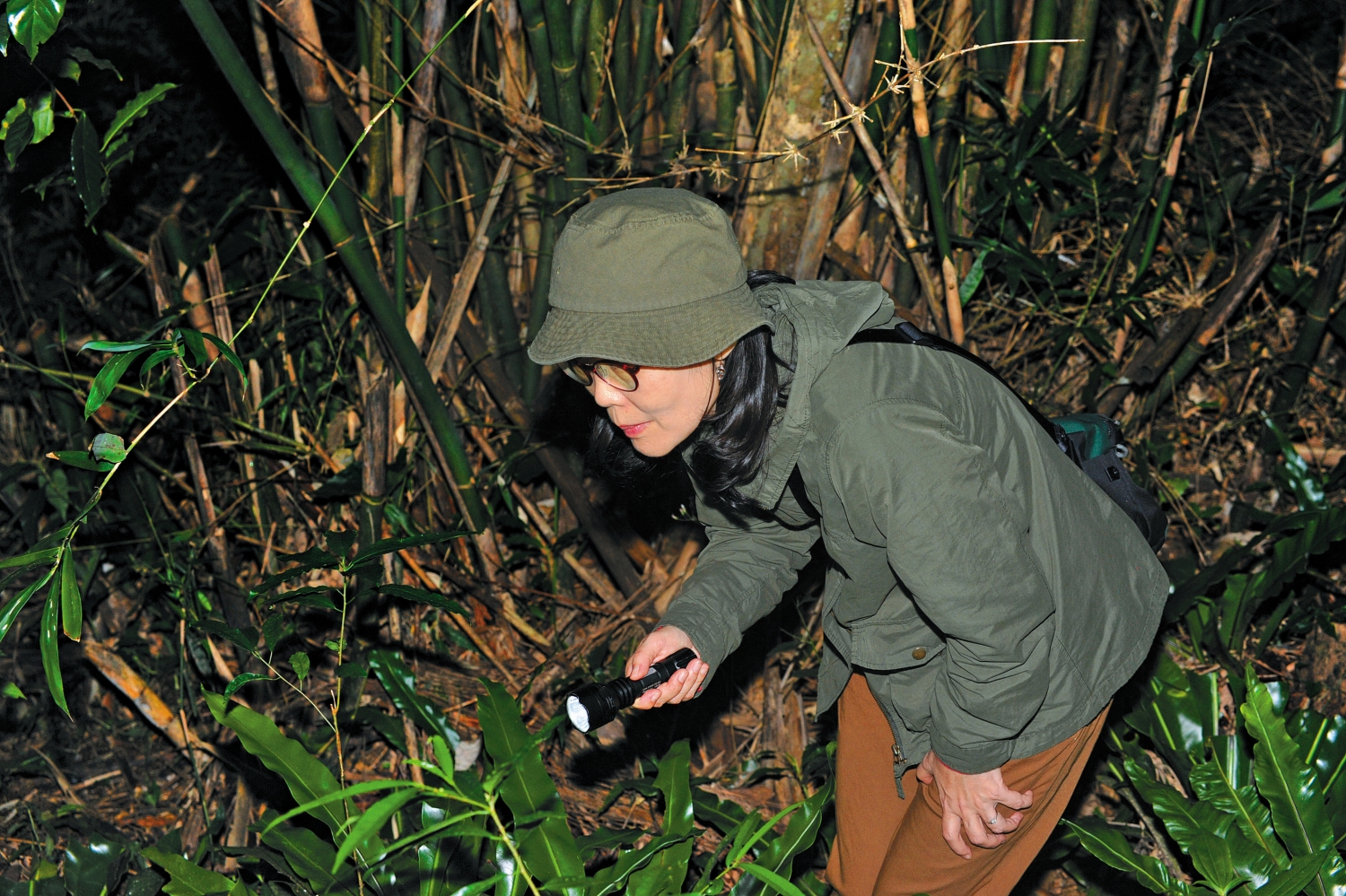 從青蛙公主到青蛙媽媽,楊懿如彎身守護青蛙的熱忱始終如一/李鵬翔 攝
