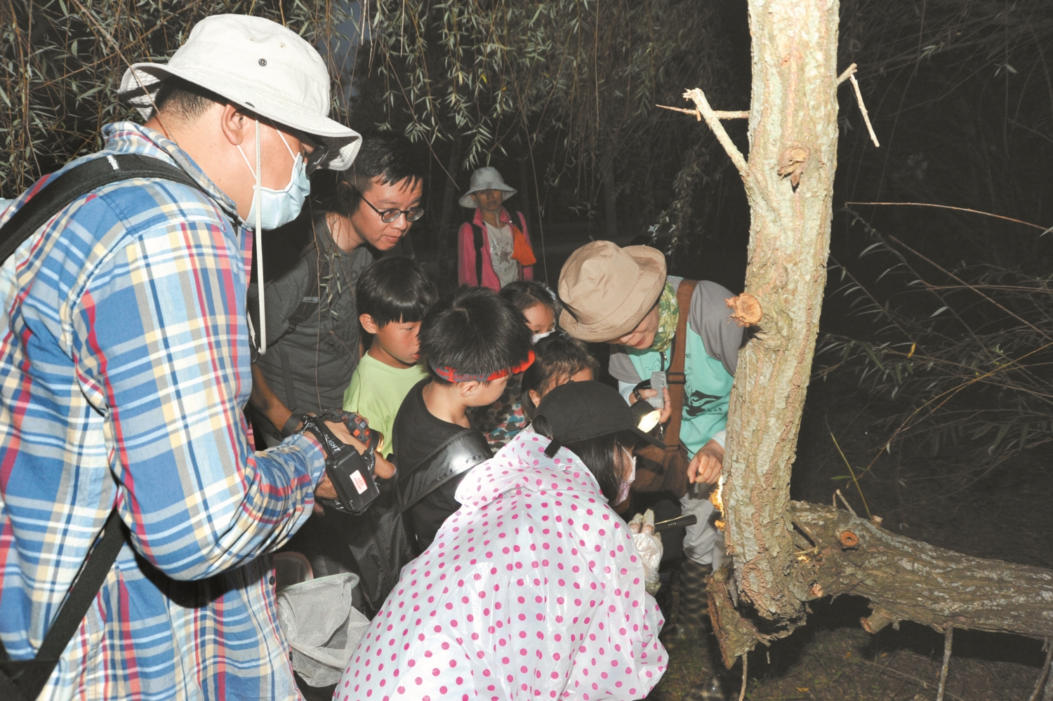 2012 年開始,楊懿如召集「臺中都會公園美白(白頷樹蛙)去斑(斑腿樹蛙)大隊」調查園區蛙況/李鵬翔 攝