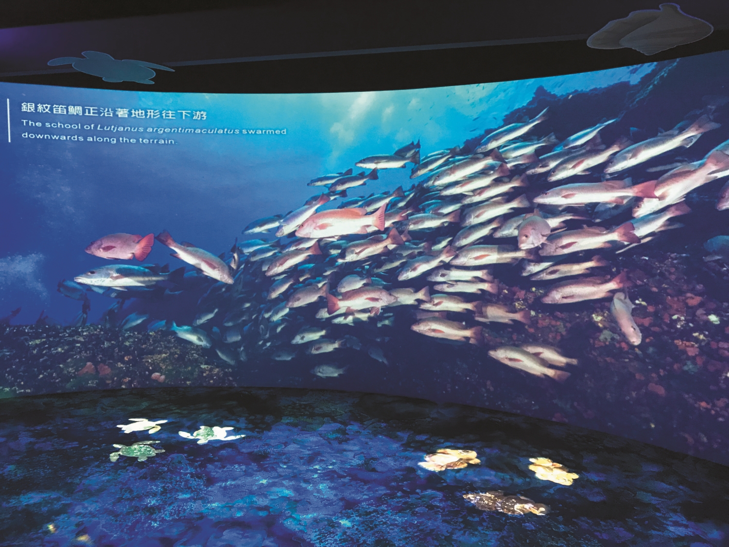 絕美秘境‧驚嘆之旅」澎湖南方四島國家公園