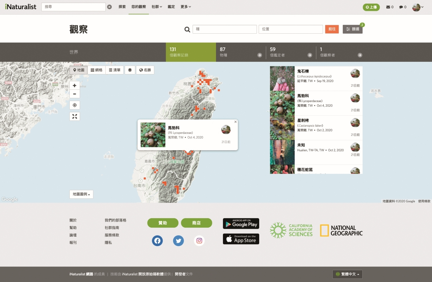 iNaturalist 個人化觀察首頁網頁版／阿比 提供