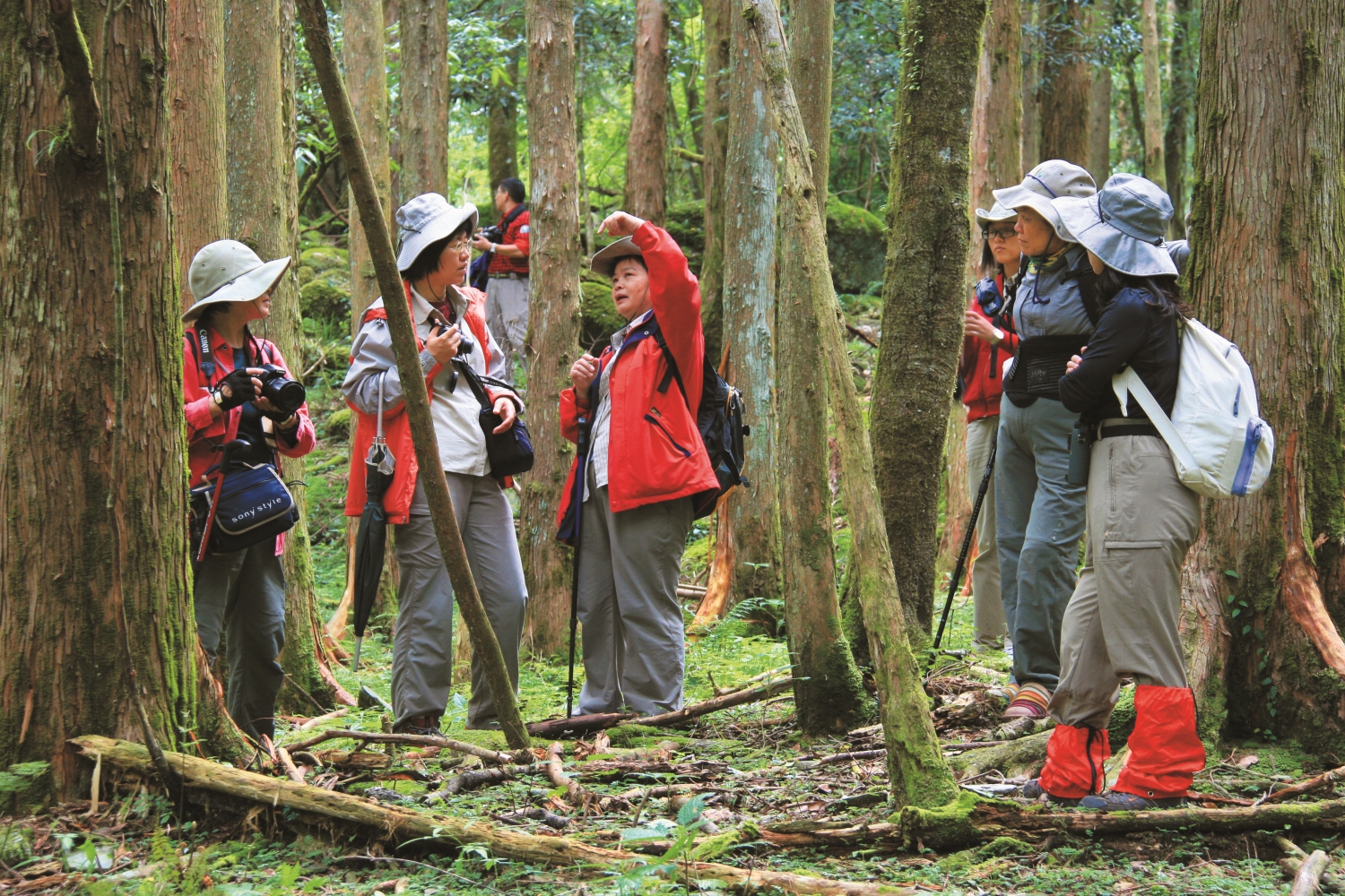 玉山國家公園的志工隊,是臺灣國家公園的歷史最悠久的志工隊,隊裡臥虎藏龍/玉管處 提供