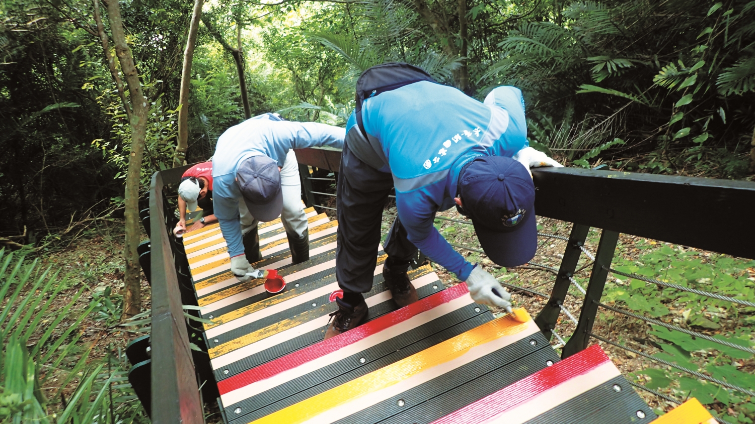 志工在太魯閣台地步道的階梯刷上明亮的顏色,讓遊客行走時更安全/太管處 提供
