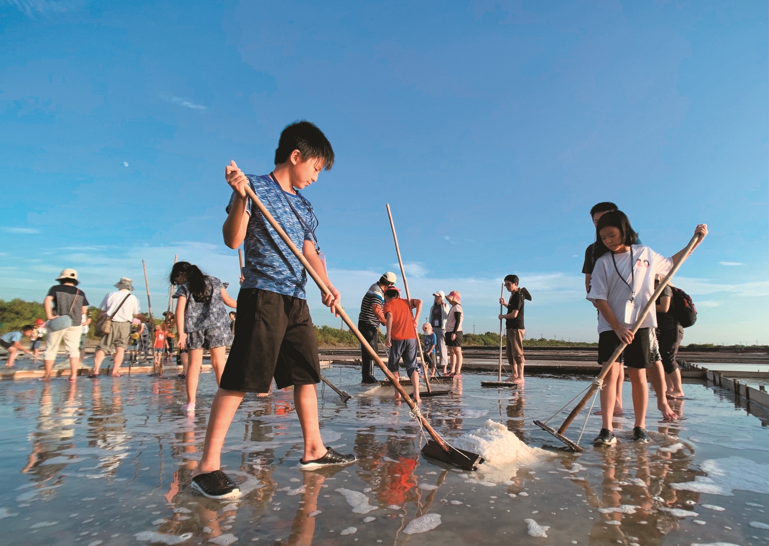 安順鹽場植物生態與鹽田體驗之旅/台管處 提供