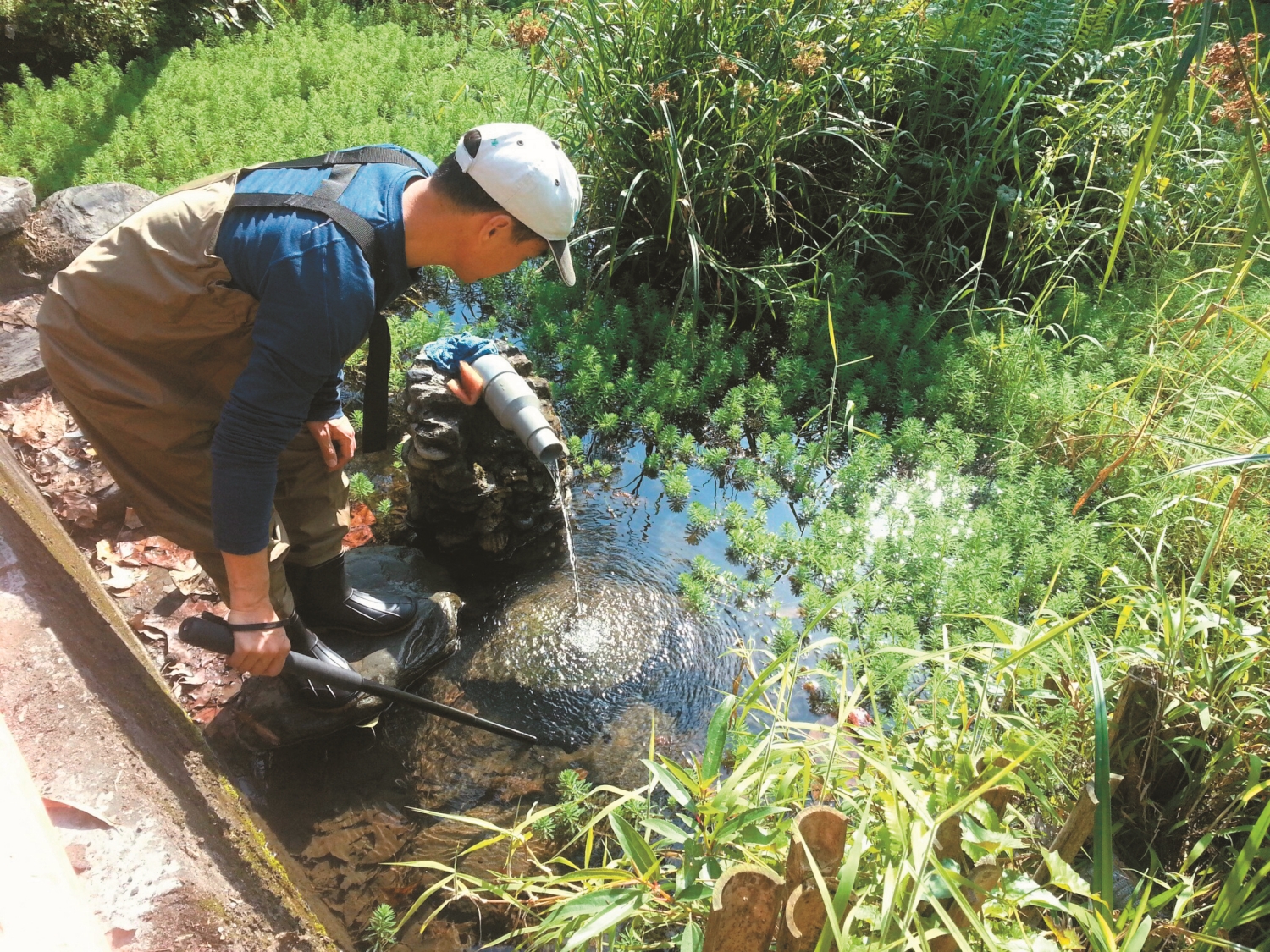 Sa’tack 湧泉／洄瀾風生態有限公司 提供