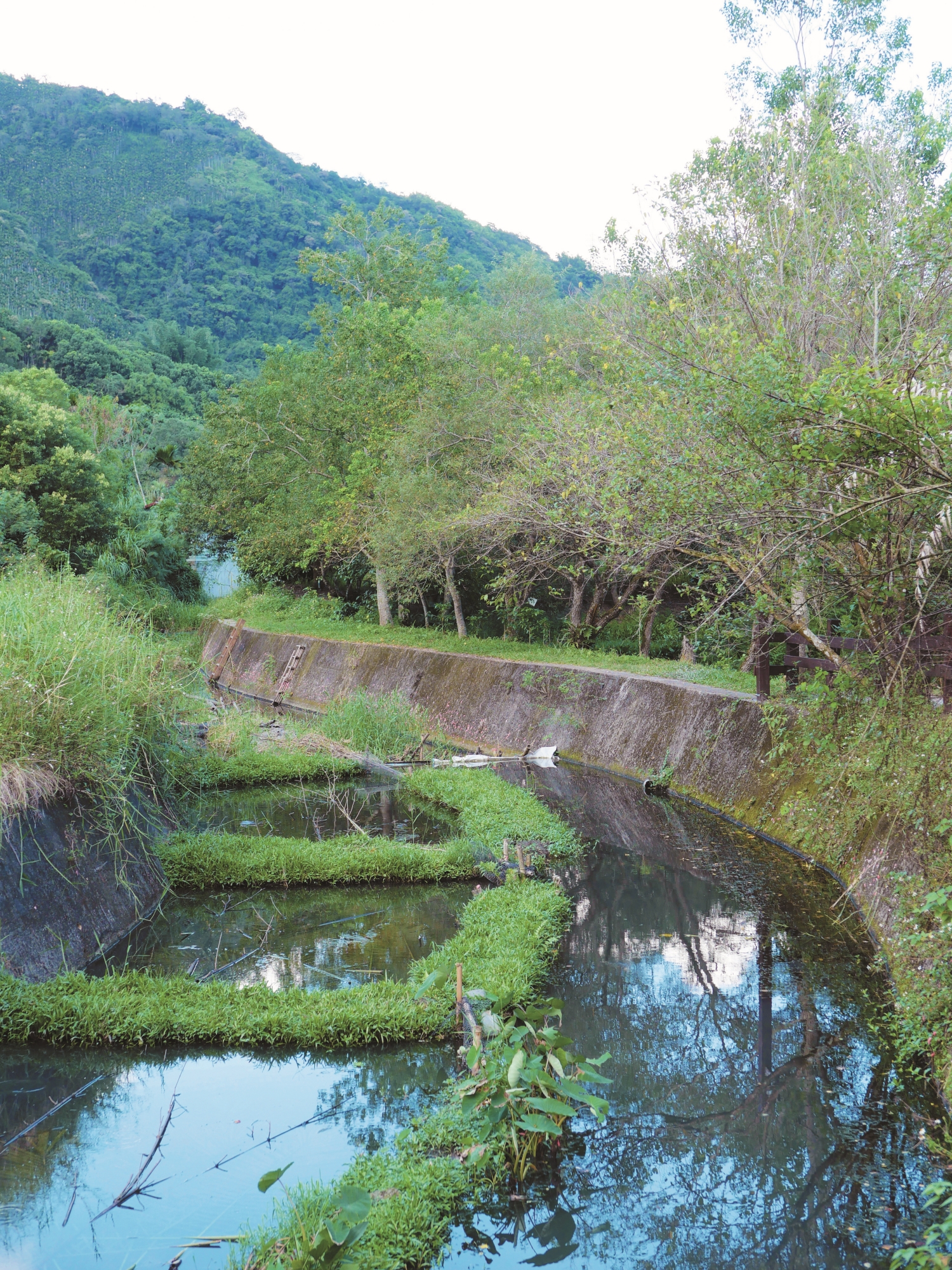 芙登溪上游架設Lakaw 的河段，倖免於疏濬的干擾／呂慧穎 攝