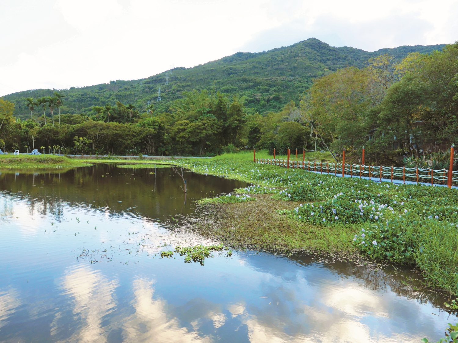 馬太鞍濕地設施建設應要有進一步統合／呂慧穎攝