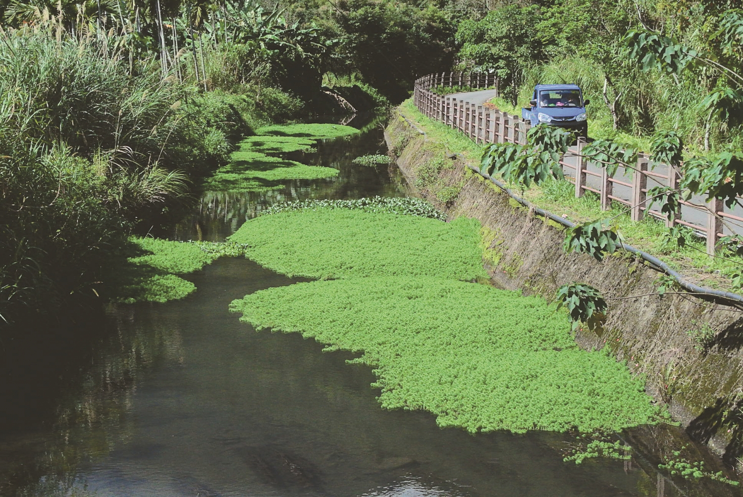 芙登溪河岸在1980 年左右成為水泥化堤岸／洄瀾風生態有限公司 提供