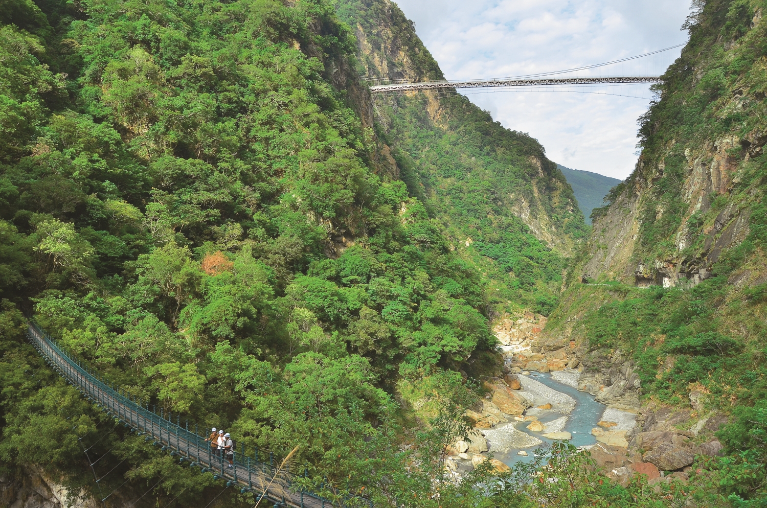 從燕子口步道入口可同時看見山月吊橋及錐麓古道入口吊橋/林茂耀 攝