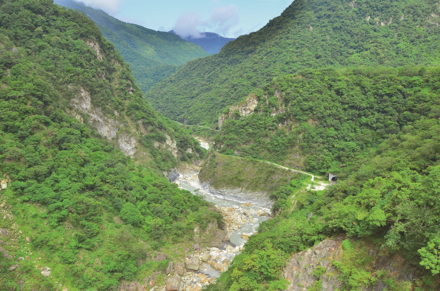 山月吊橋向東眺望,電光形道路藏身在左側林間/林茂耀 攝