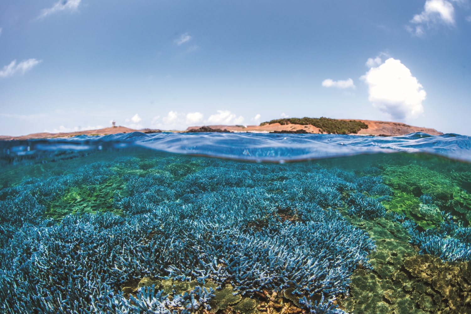 佔地球表面積70%的海洋,孕育生命與文化,設立海洋國家公園是人們正視海洋保育的重要里程碑/海管處 提供